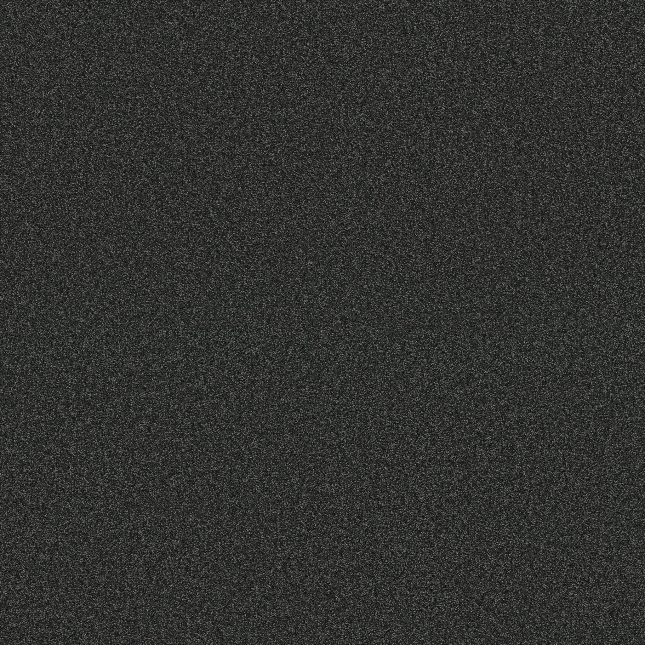 TONAL COMFORT I MOVIE NIGHT MAIN