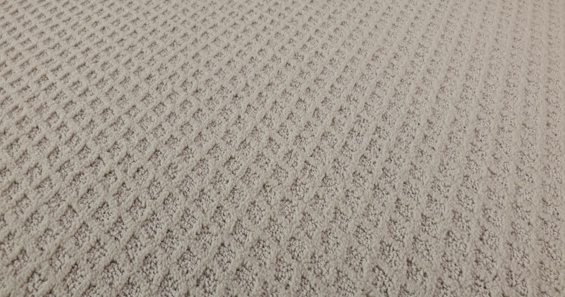 FORMALIZE FOSSIL PATH 360PROD