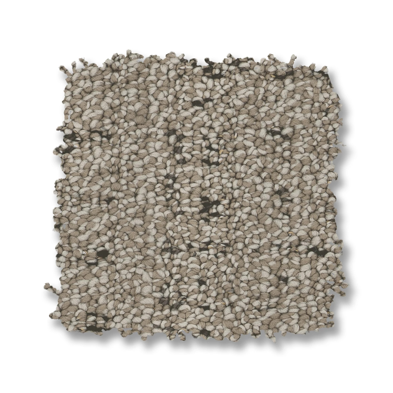 IN STEP DERBY SWATCH