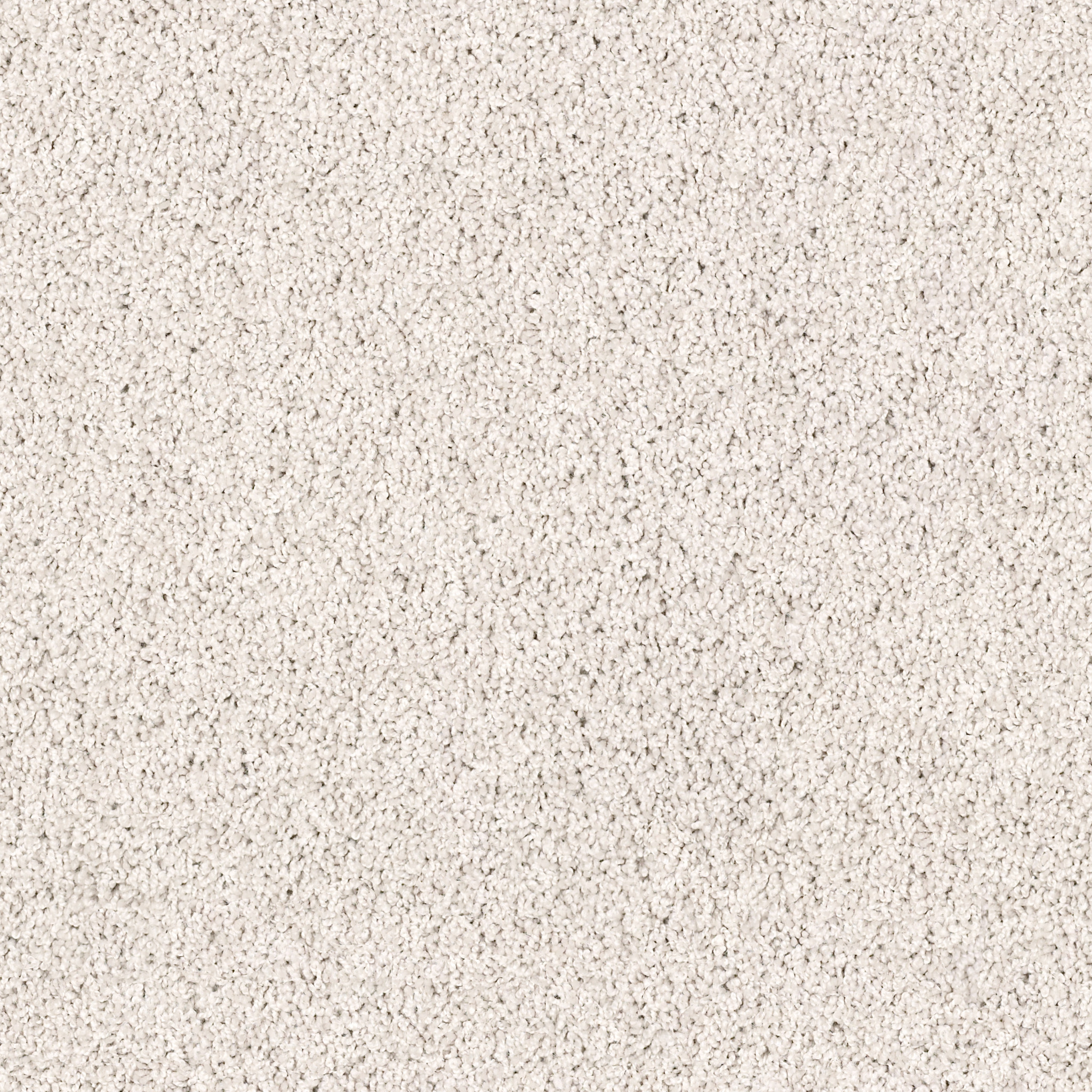 LONESTAR CARRERA MAIN