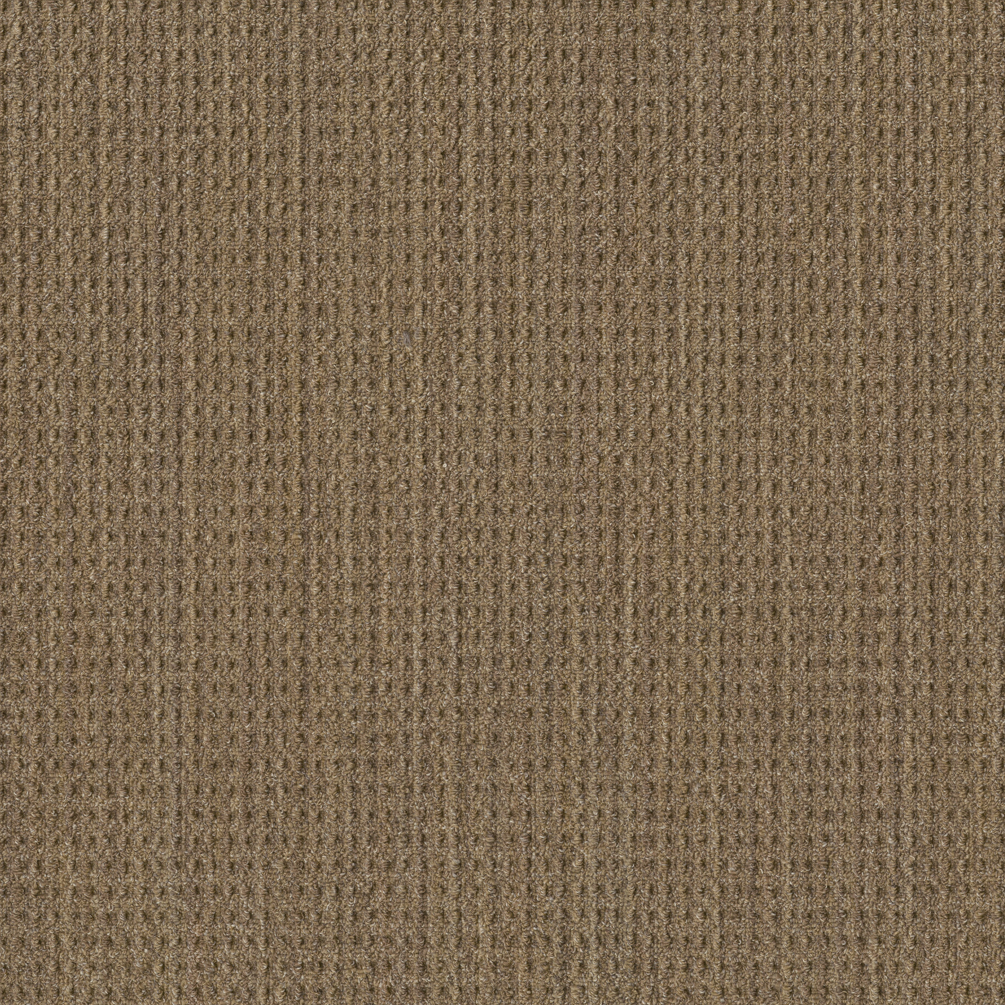 Search Carpet Results | Shaw Floors