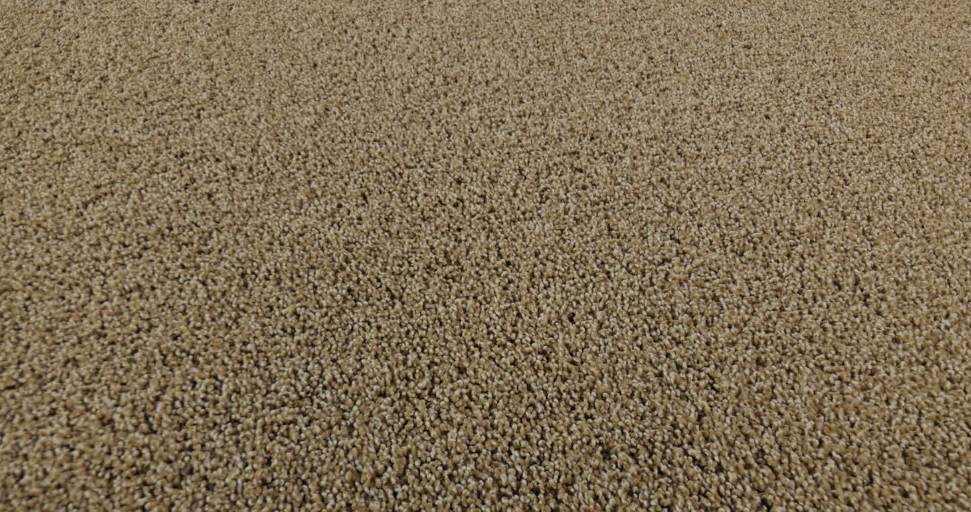 ACADIA PARK CARAMELO 360PROD