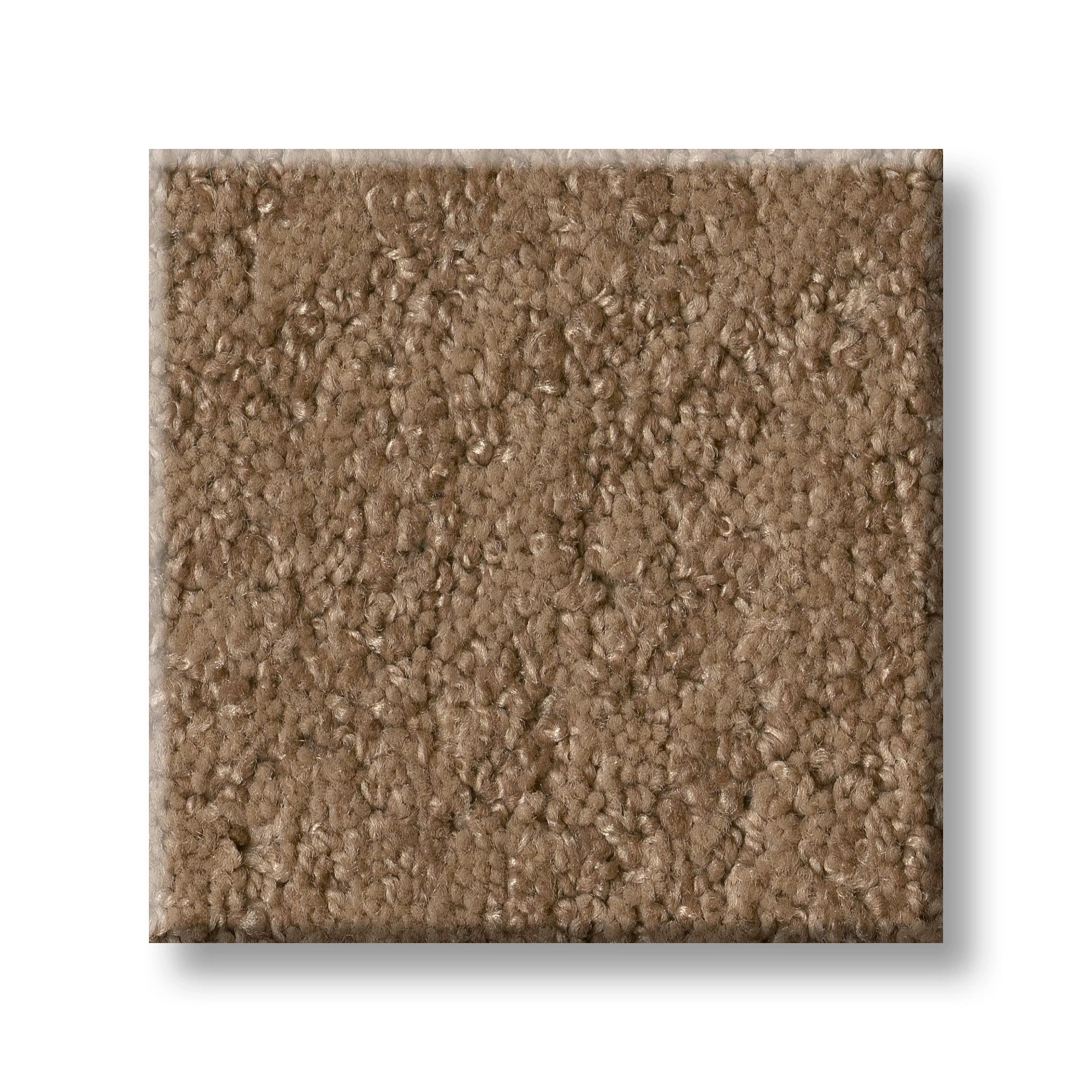 FINE TAPESTRY RAW WOOD SWATCH