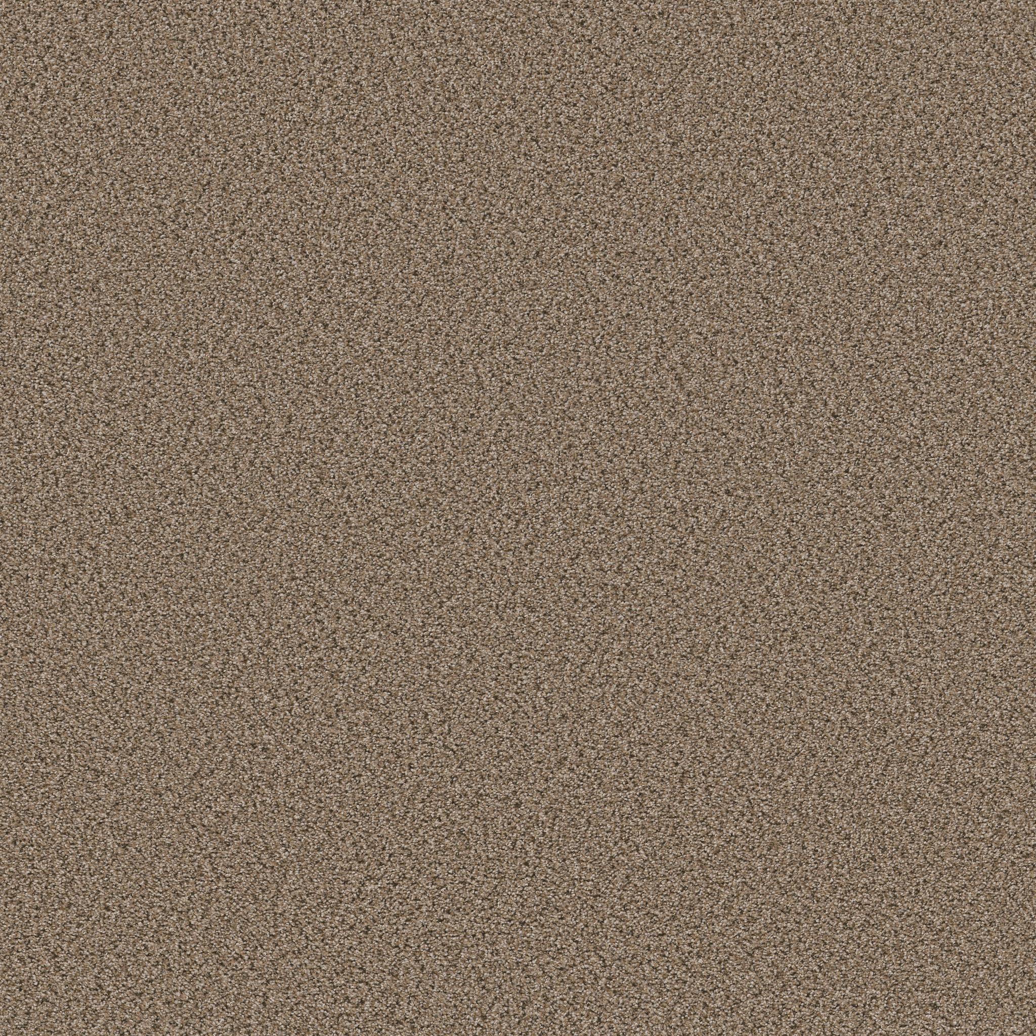 Abilene I by Shaw Floors