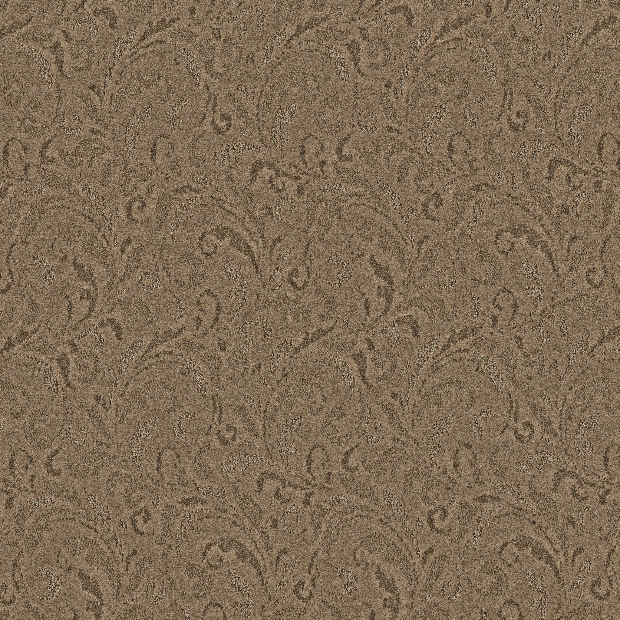 CHARISMATIC OPEN CANYON MAIN