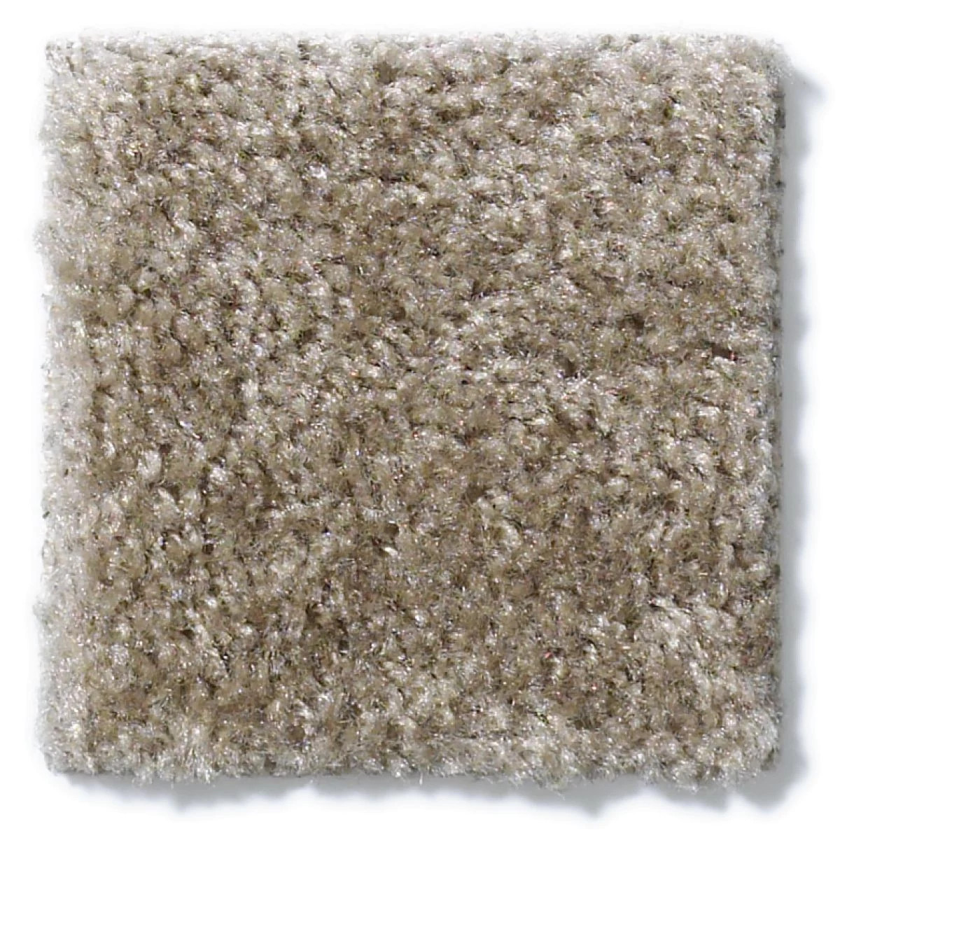 SPRINTER PUTTY SWATCH