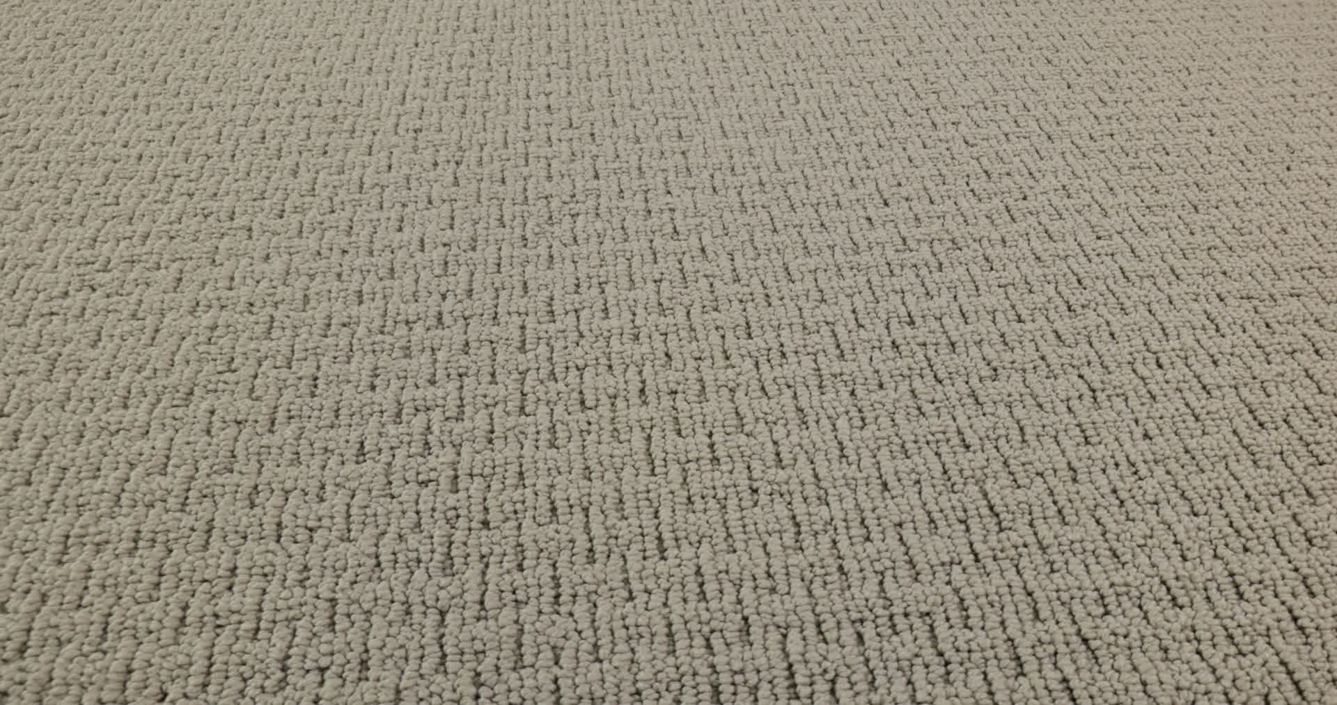 SAN SALVADOR FROSTED IVY 360PROD