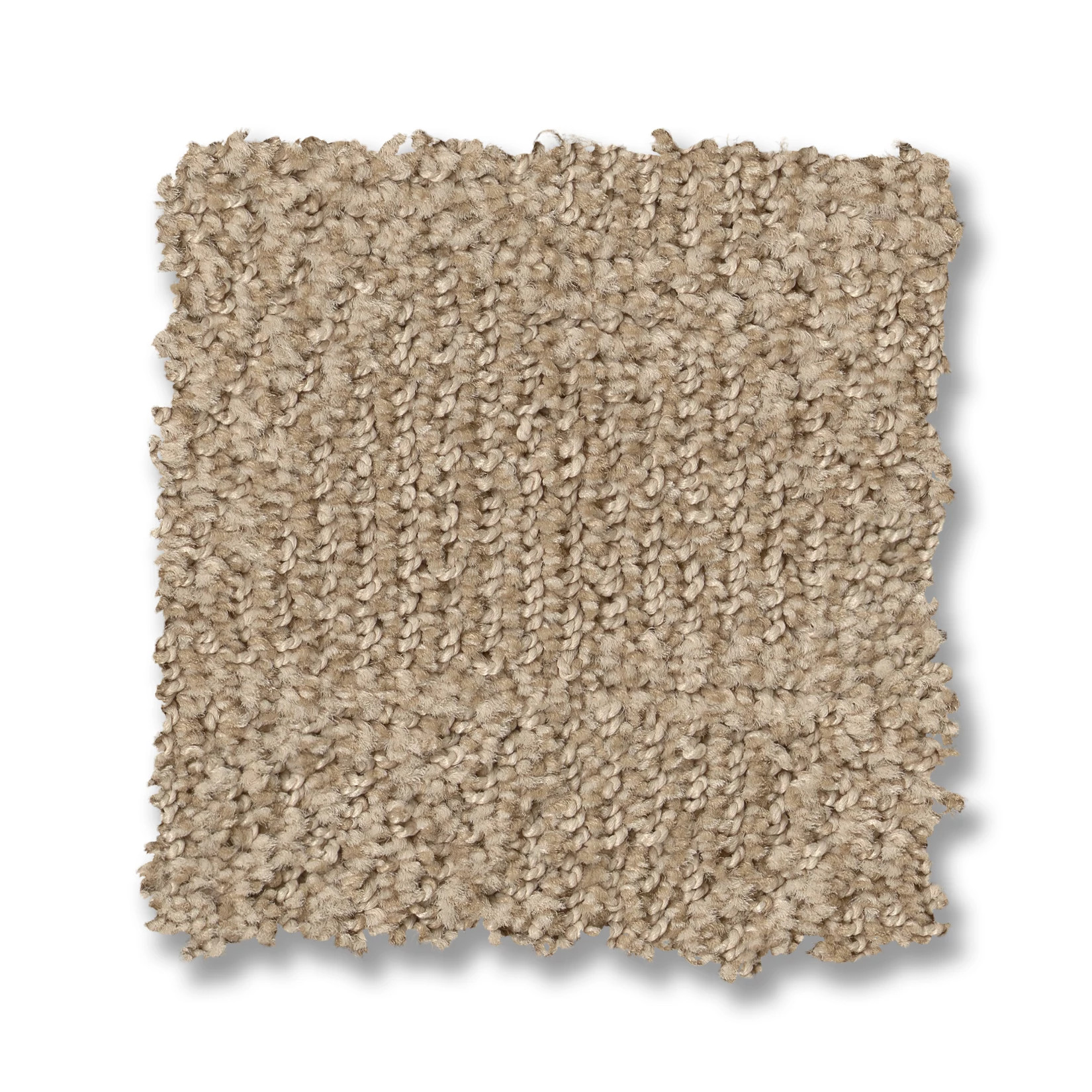 ARIO PARCHMENT SWATCH