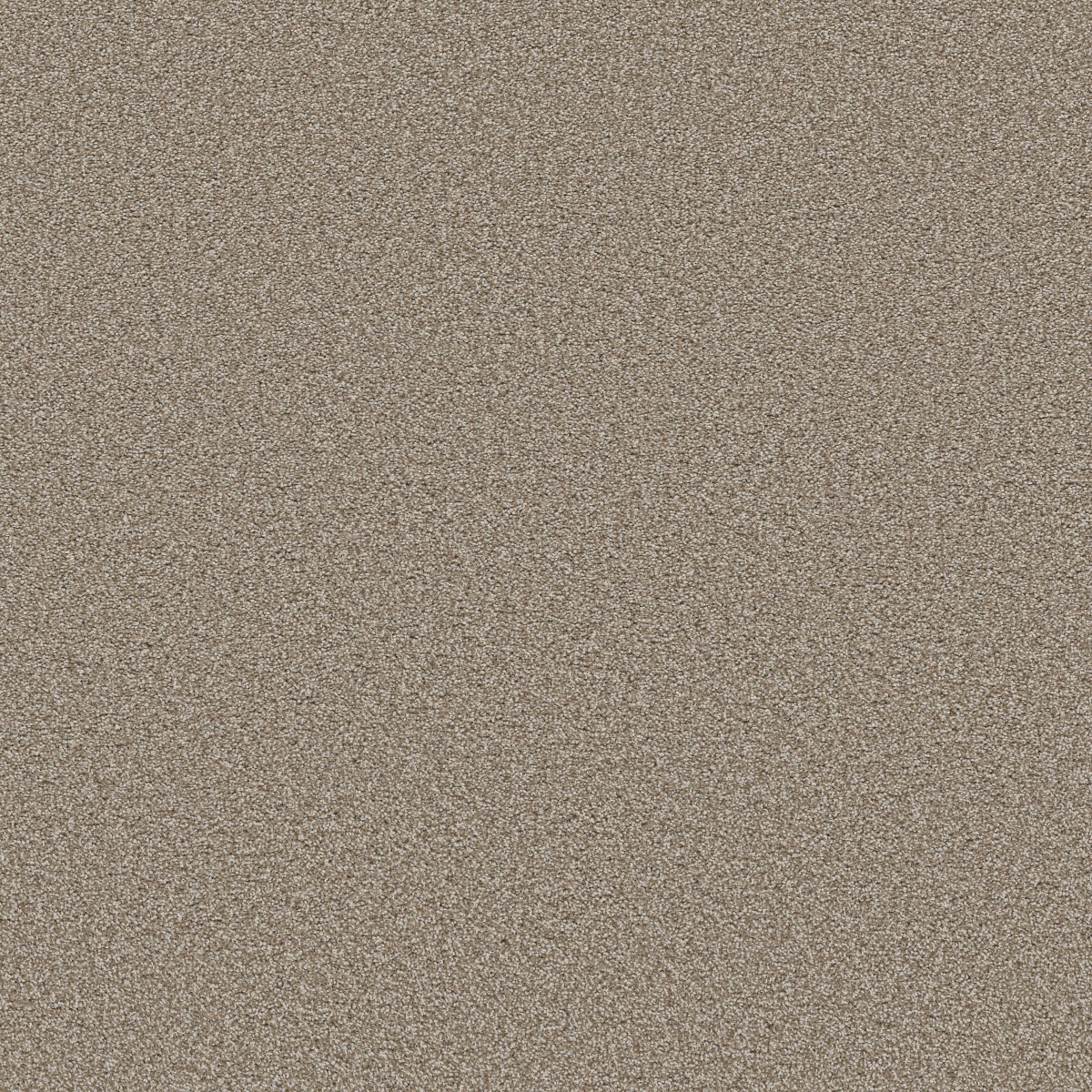 Shaw Floors TRUSOLUTIONS III — BEACH CABANA