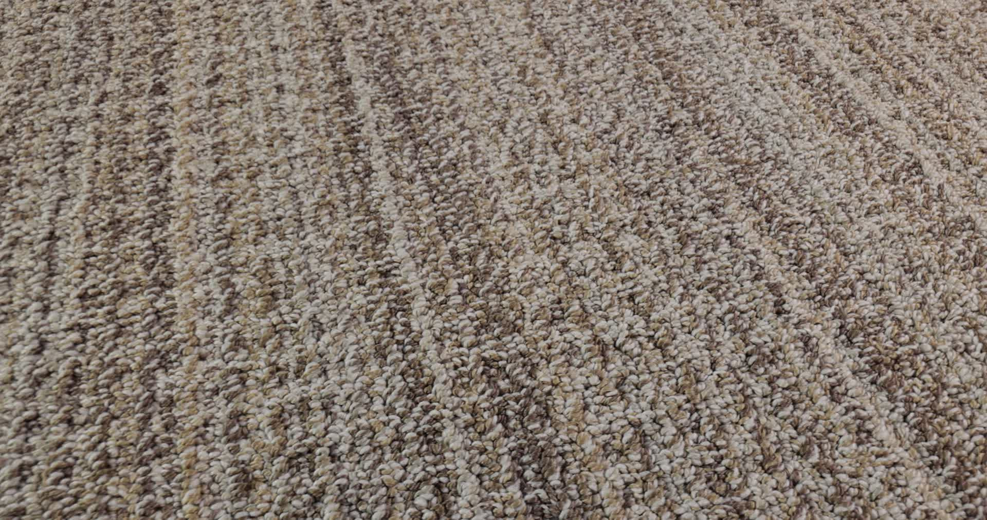 SUNDANCE WINTER OAK 360PROD