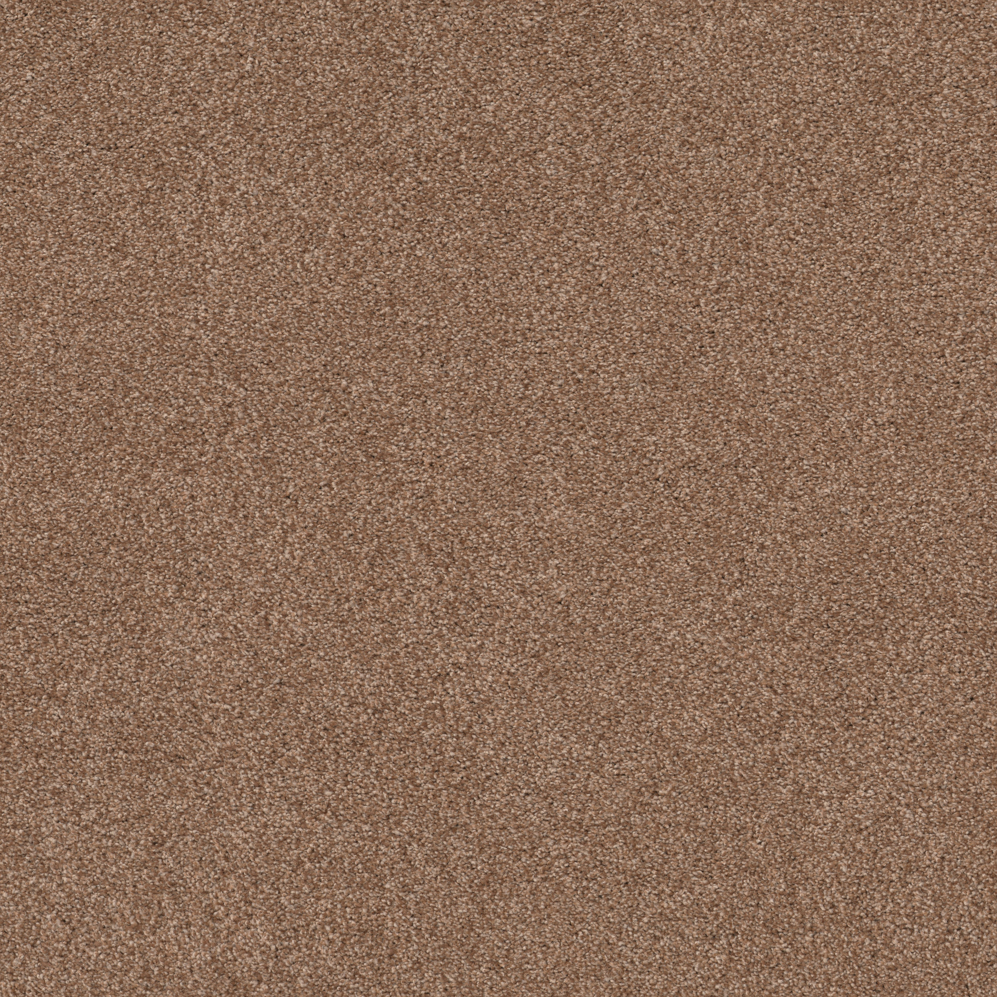 COZY HARBOR II SUNBAKED MAIN