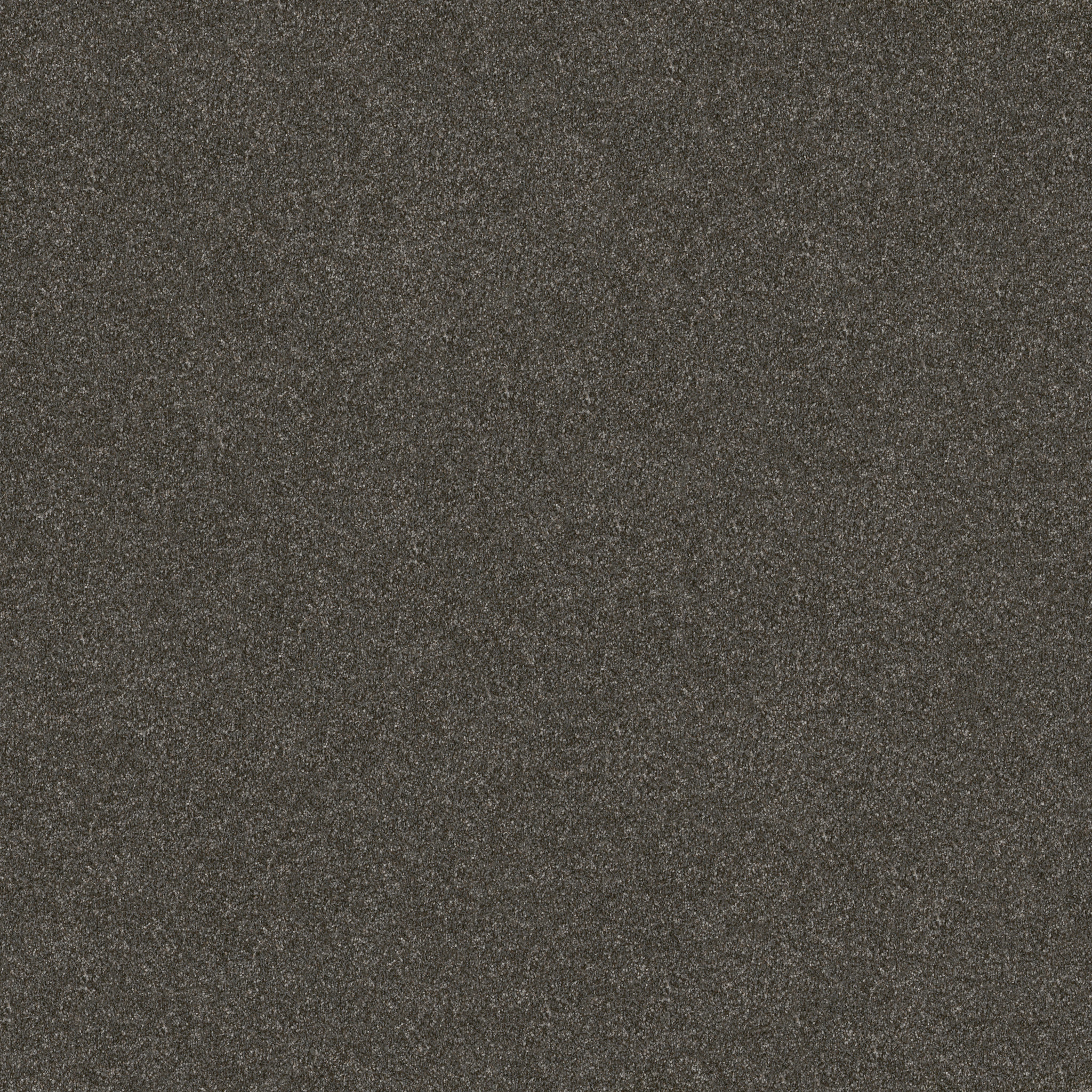 WITHOUT LIMITS III DERBY MAIN