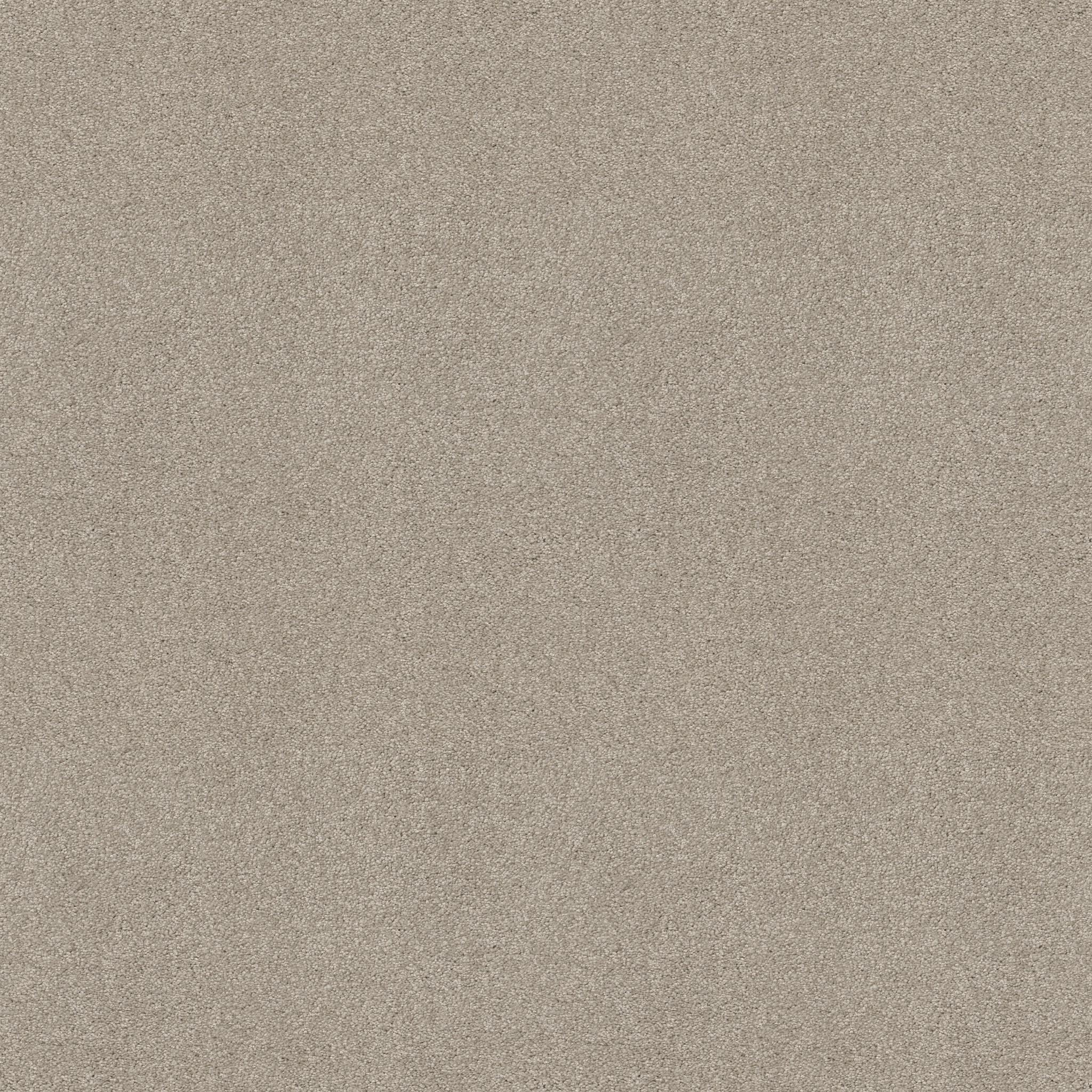 BEAUTIFULLY SIMPLE GREIGE MAIN