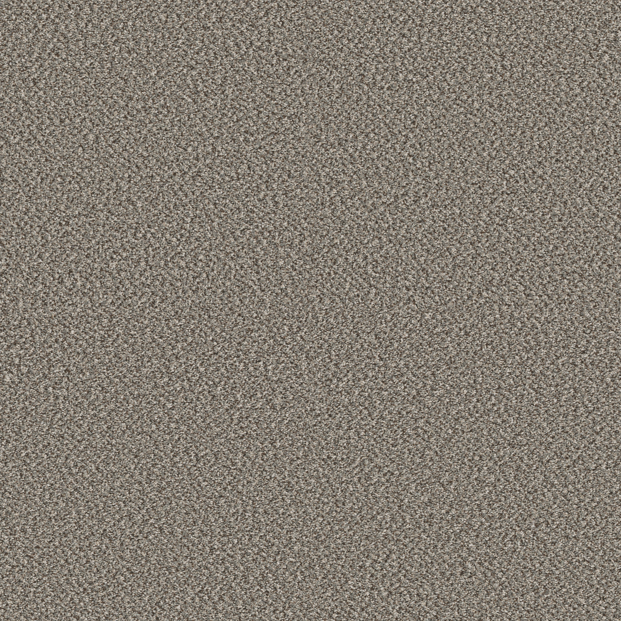 HIGH RANKING B RIVER MAIN