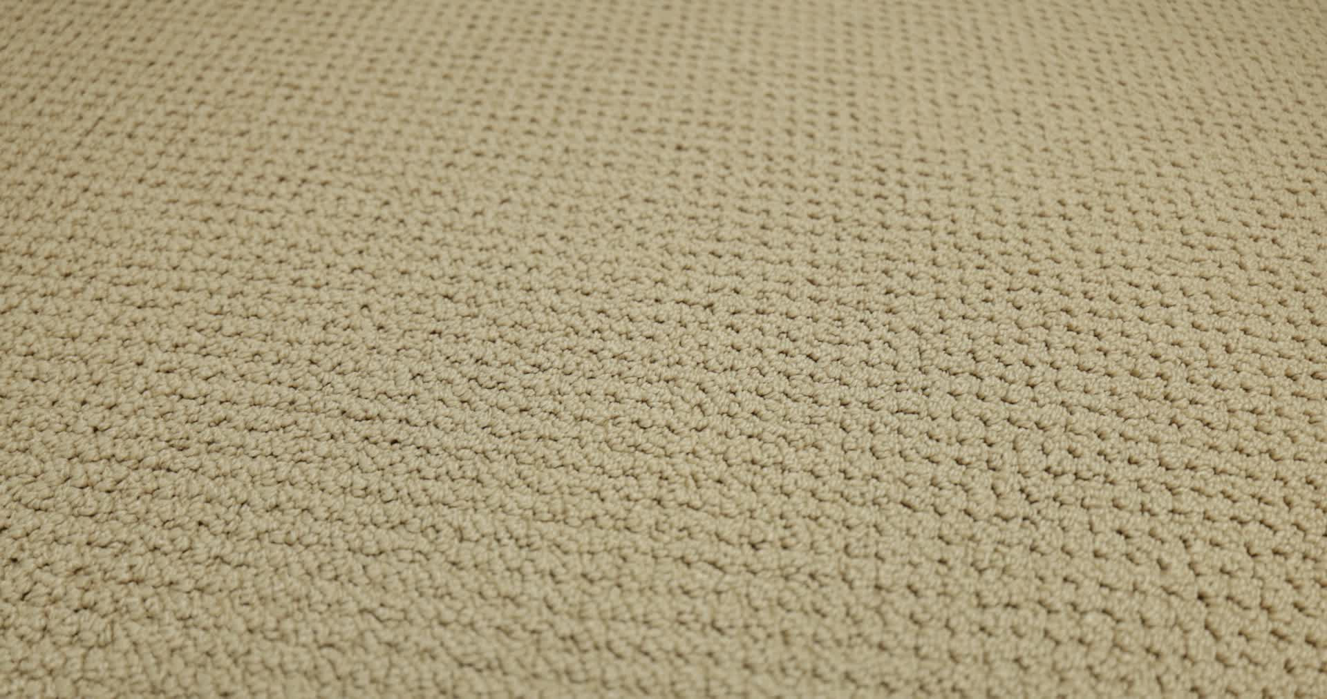 GRACIOUS GOLDEN RULE 360PROD