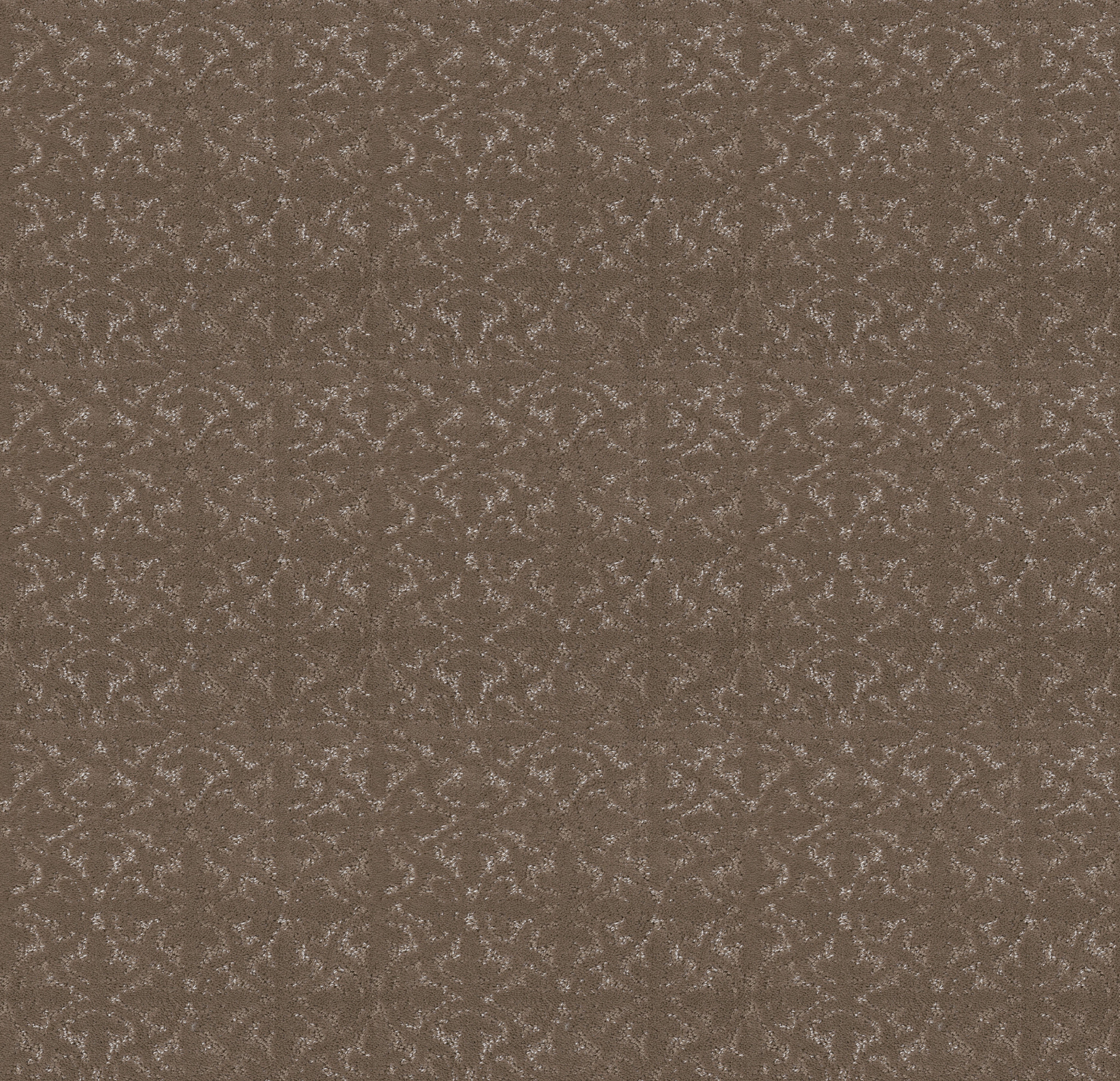 LIGHT IMPRESSIONS CAMEO MAIN