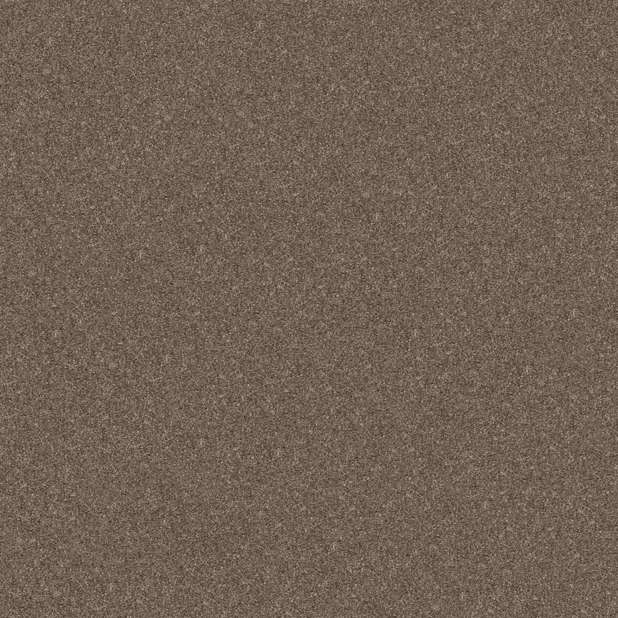 GO AFTER IT 3 TREE HOUSE MAIN