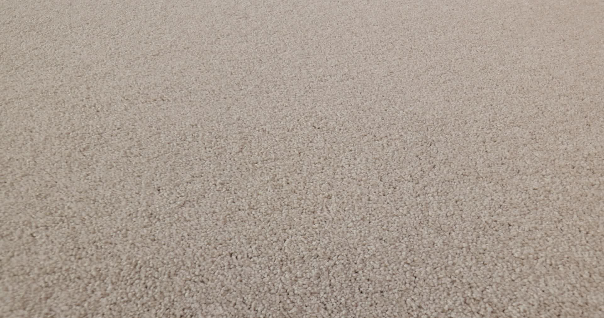 BASIC RULES BLUSH 360PROD