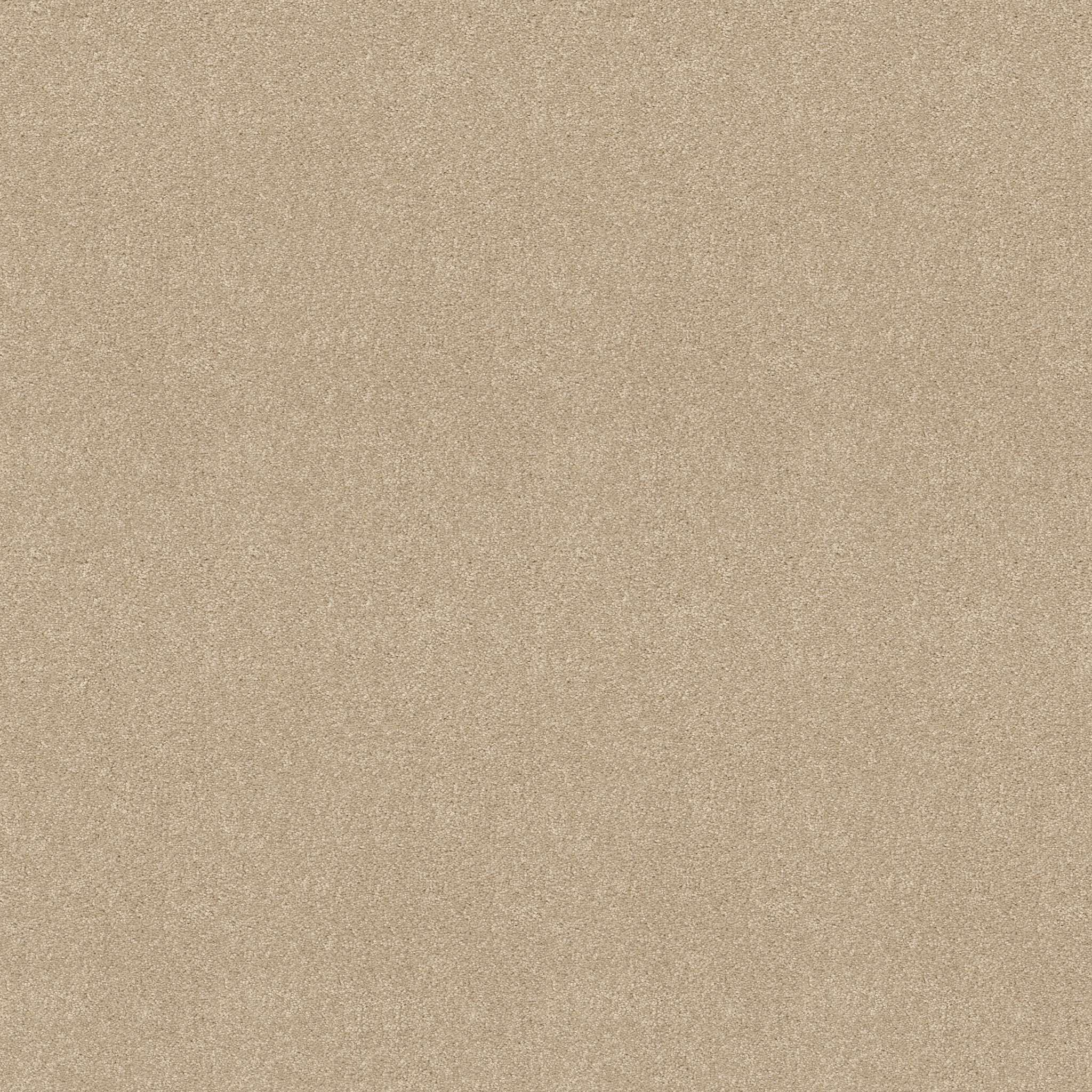 LUCKY YOU SANDY SHORE MAIN