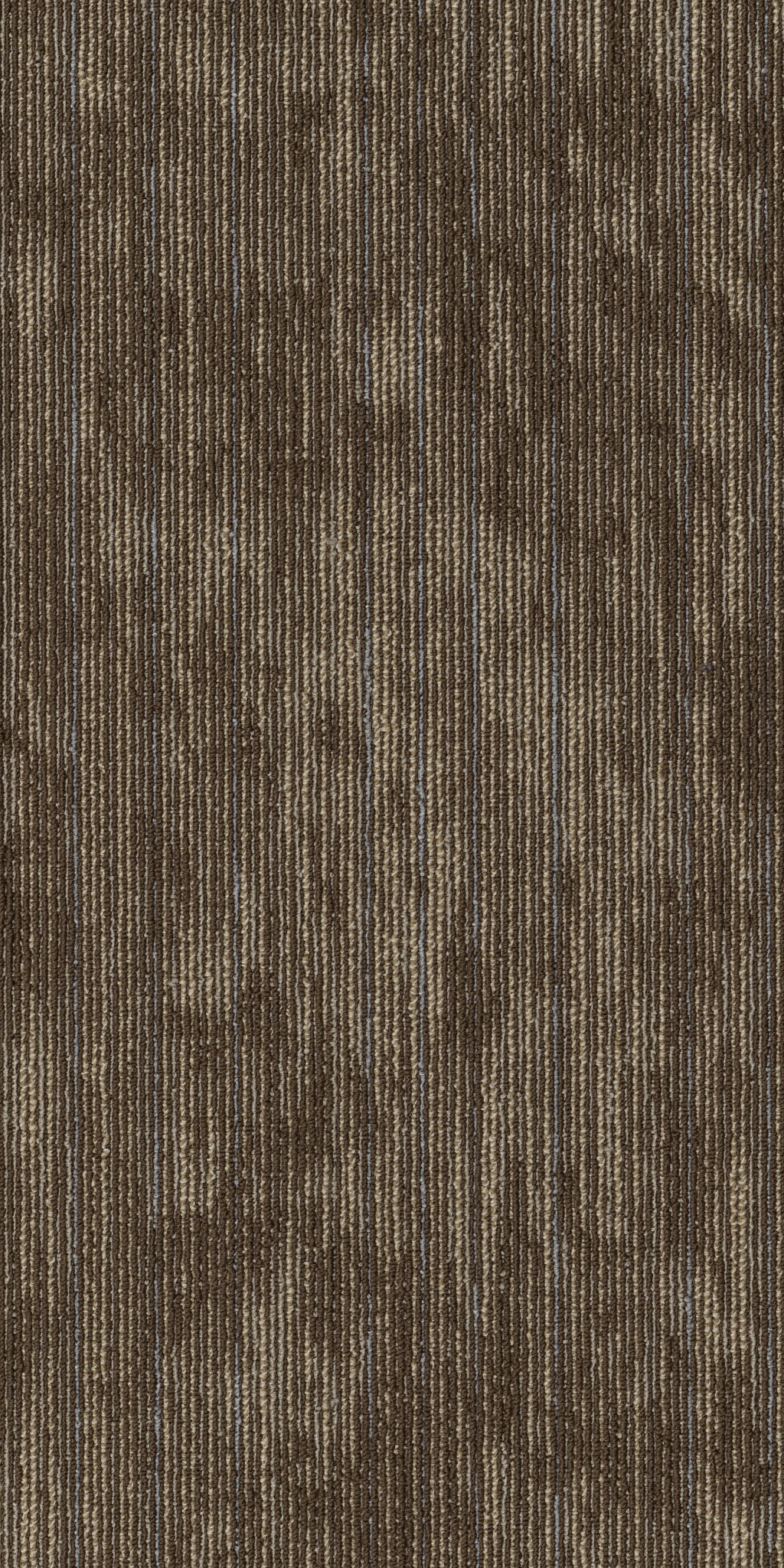 SHARED FORCE 54993 VIGOROUS 93205 main image