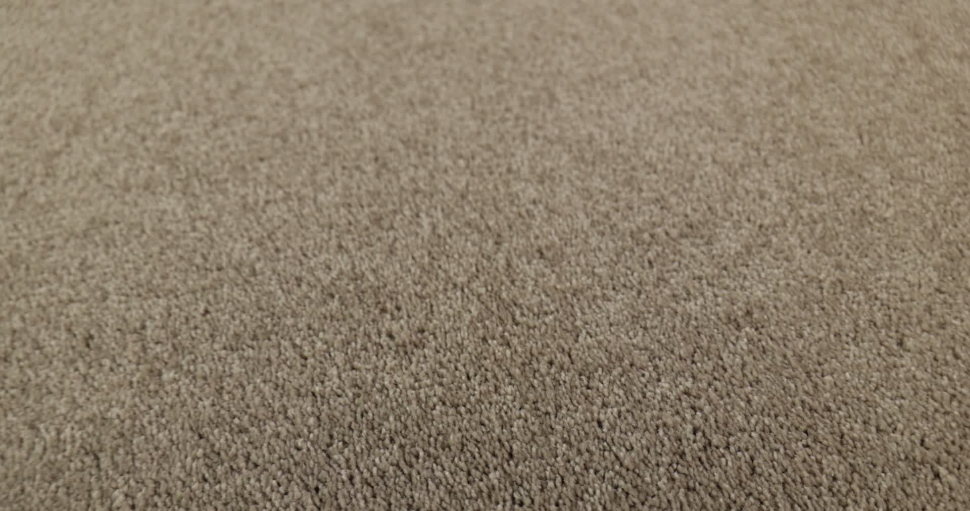 BEAUTIFULLY SIMPLE I 12 WILD RICE 360PROD