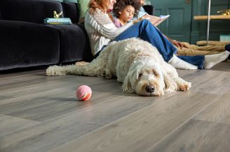 A family reading together with a dog on COREtec Scratchless flooring.