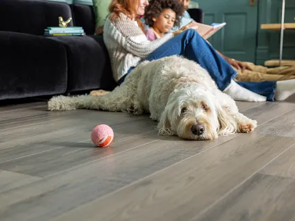 Coretec Mineral Core Residential LVP Flooring - Wood Look, Pet Friendly, 47.64x7.6 inch Cozy living room with a dog lying on Coretec Mineral Core Residential luxury vinyl plank flooring, featuring a wood look in shades of gray and brown, 47.64x7.6 inch dimensions