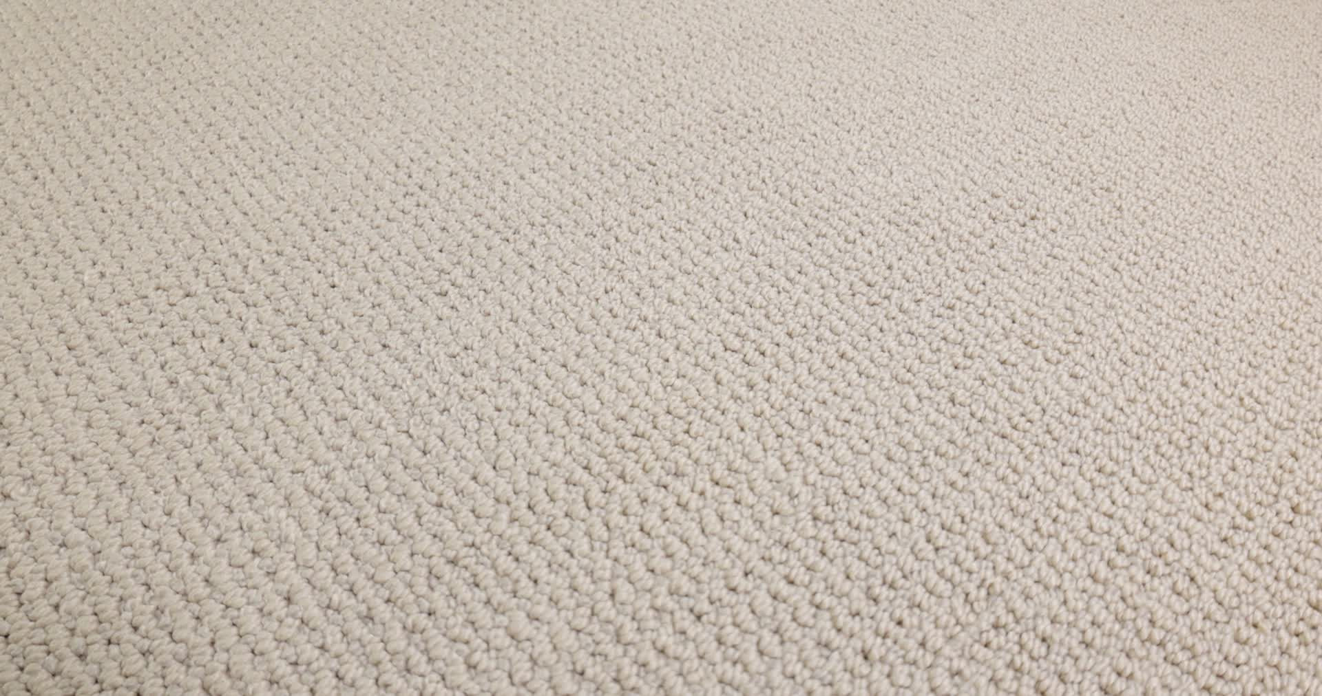 PURRFECTION MOCHA CREAM 360PROD