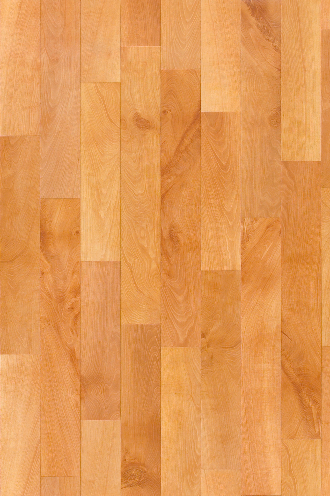 ORGANIC-STRUCTURE-5471V-LIVELY-08311-main-image