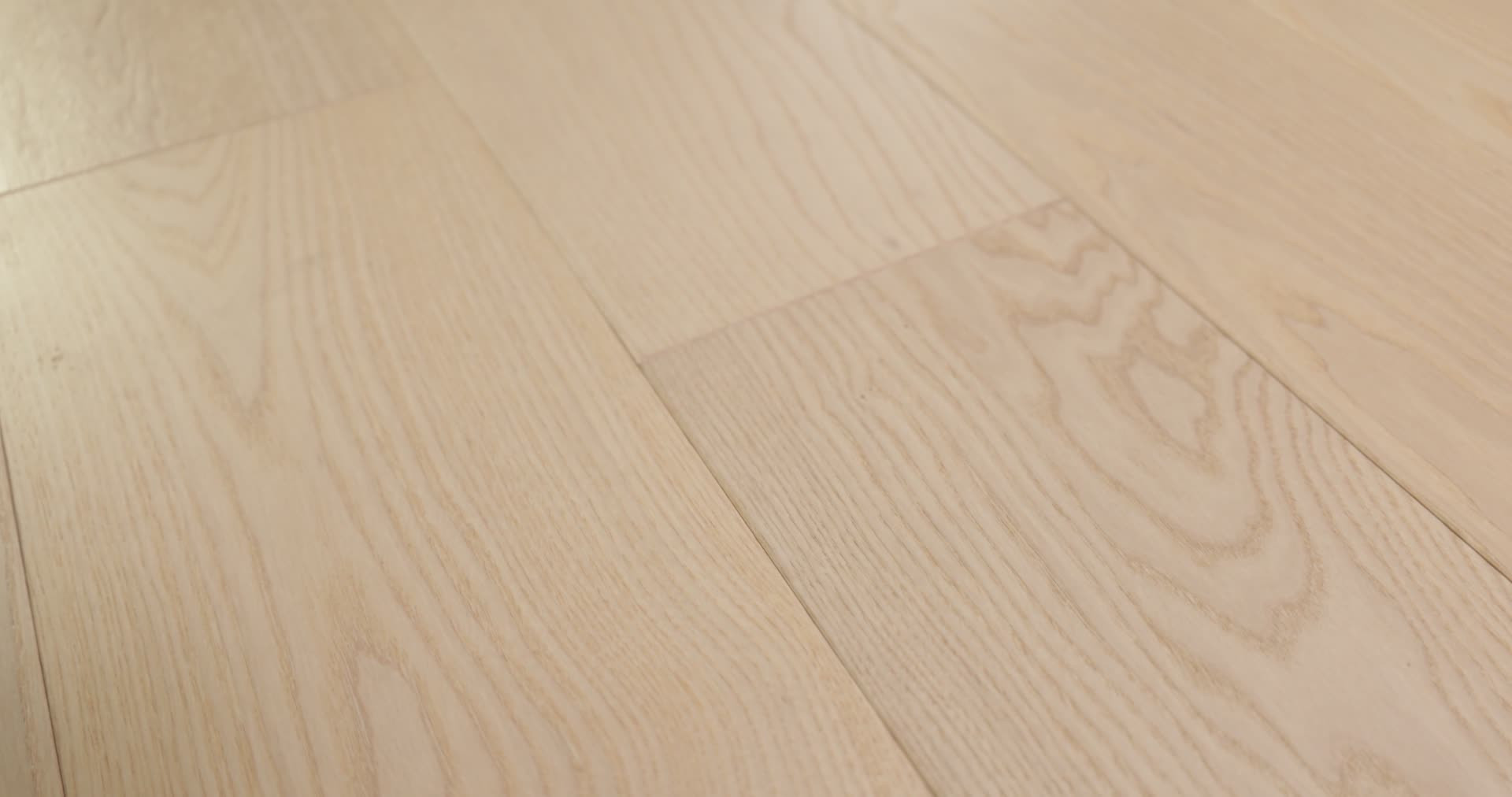 EUROPEAN ASH PLAZA 360PROD