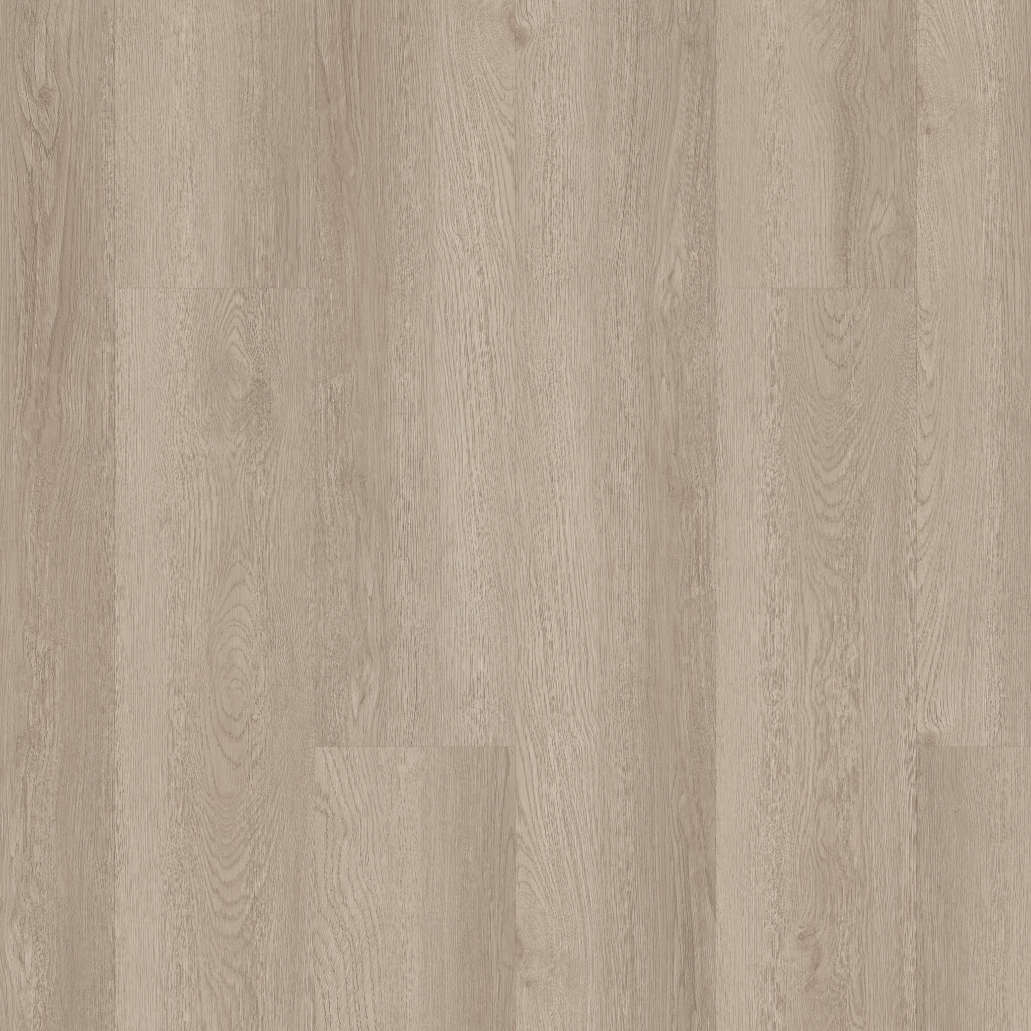インフィニティ♾️ Infinite 8 - in Pampas | Shaw Floors