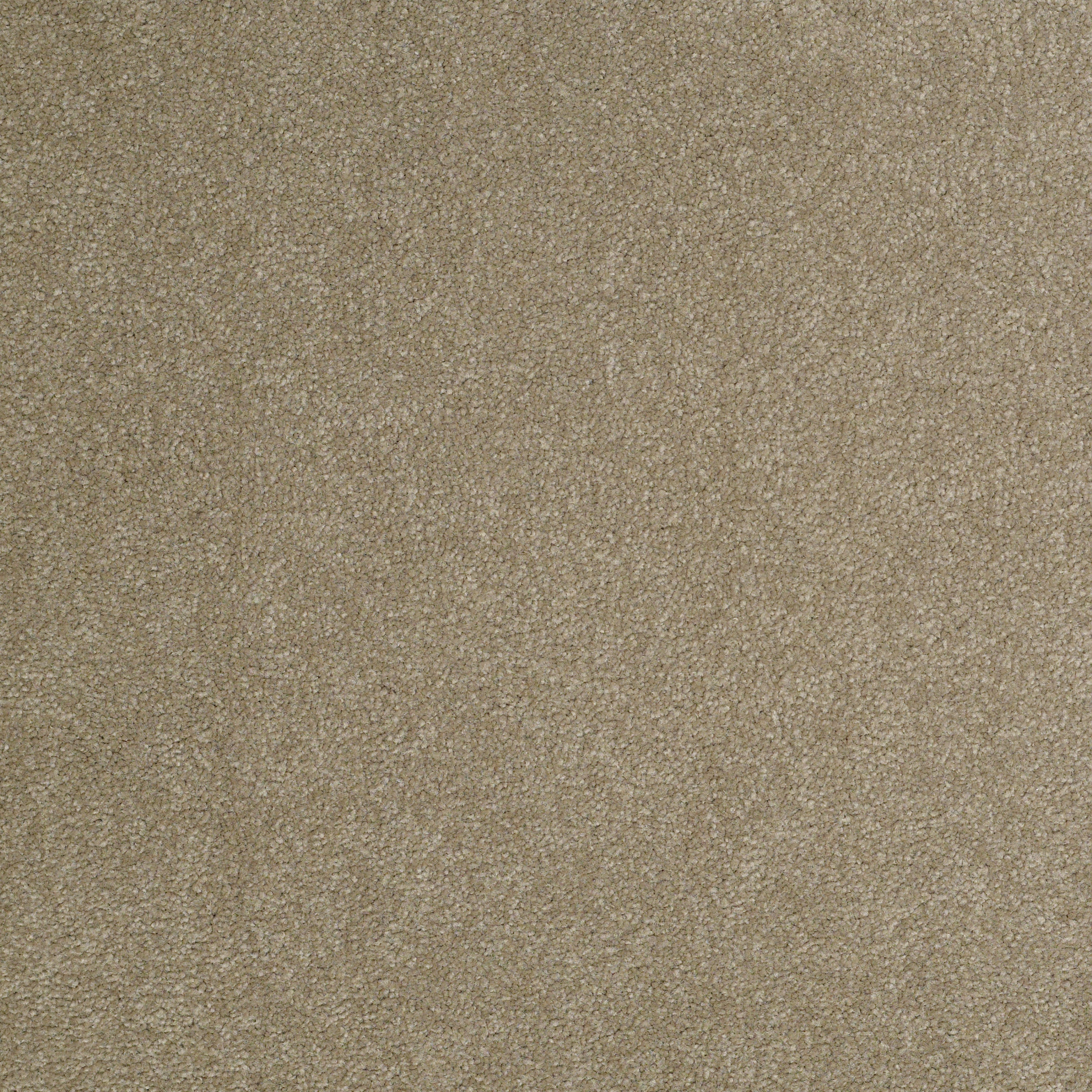 SOPHISTICATION 12' CHINCHILLA MAIN