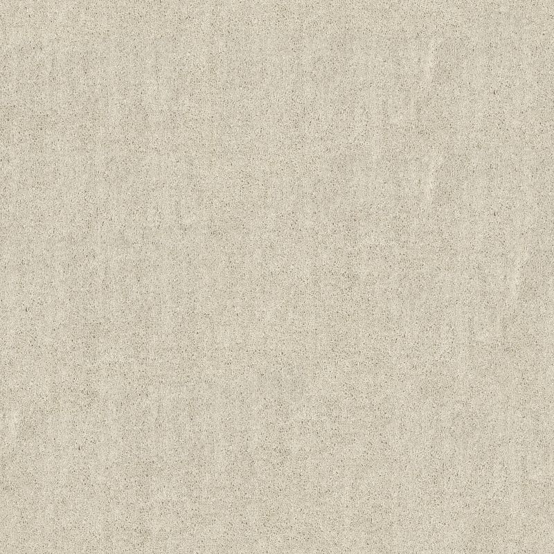 All Star Weekend III 15 Broadloom Carpet in Flax Seed color, 15ft wide, 100% PET material