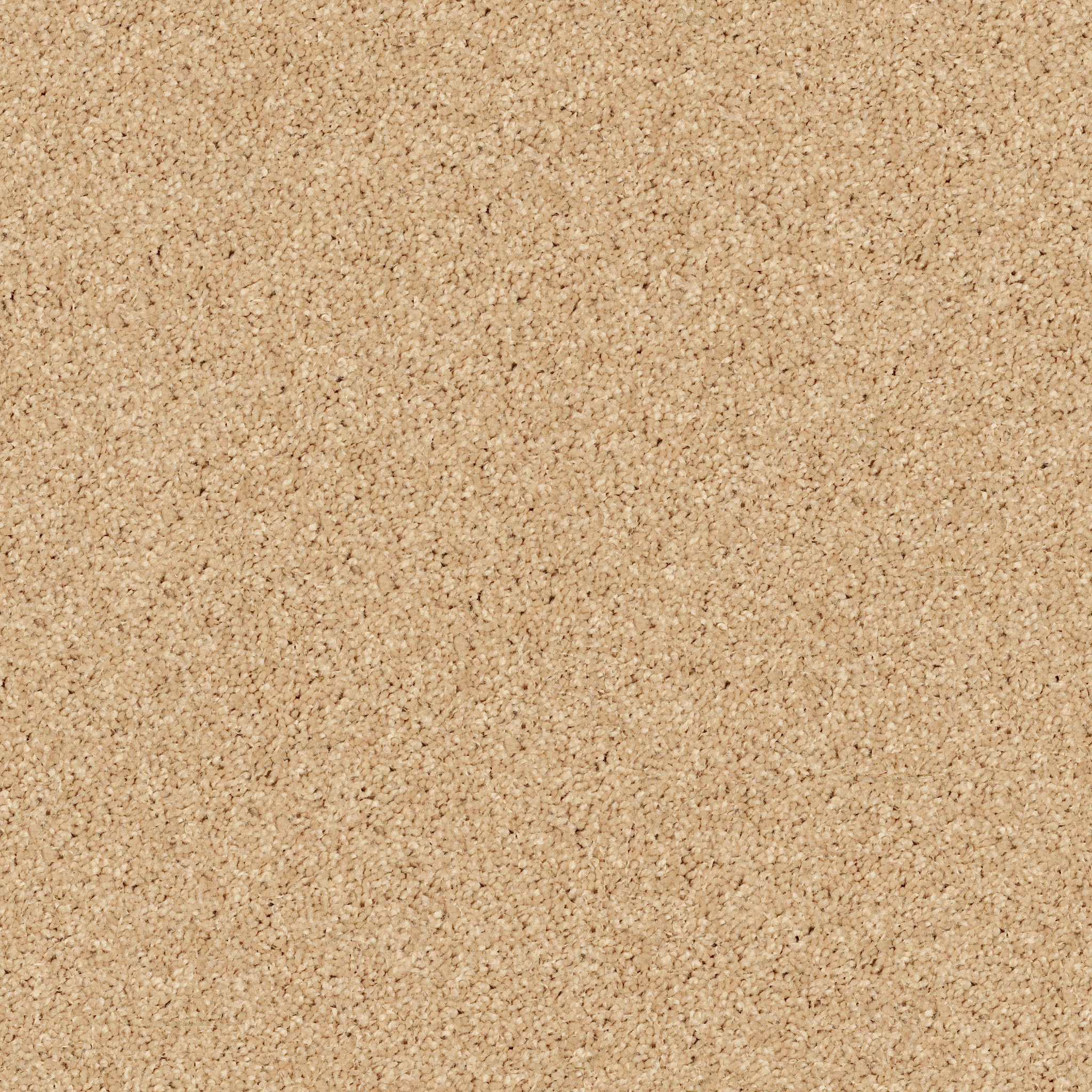 FIELDER'S CHOICE 15' SUN BEAM MAIN