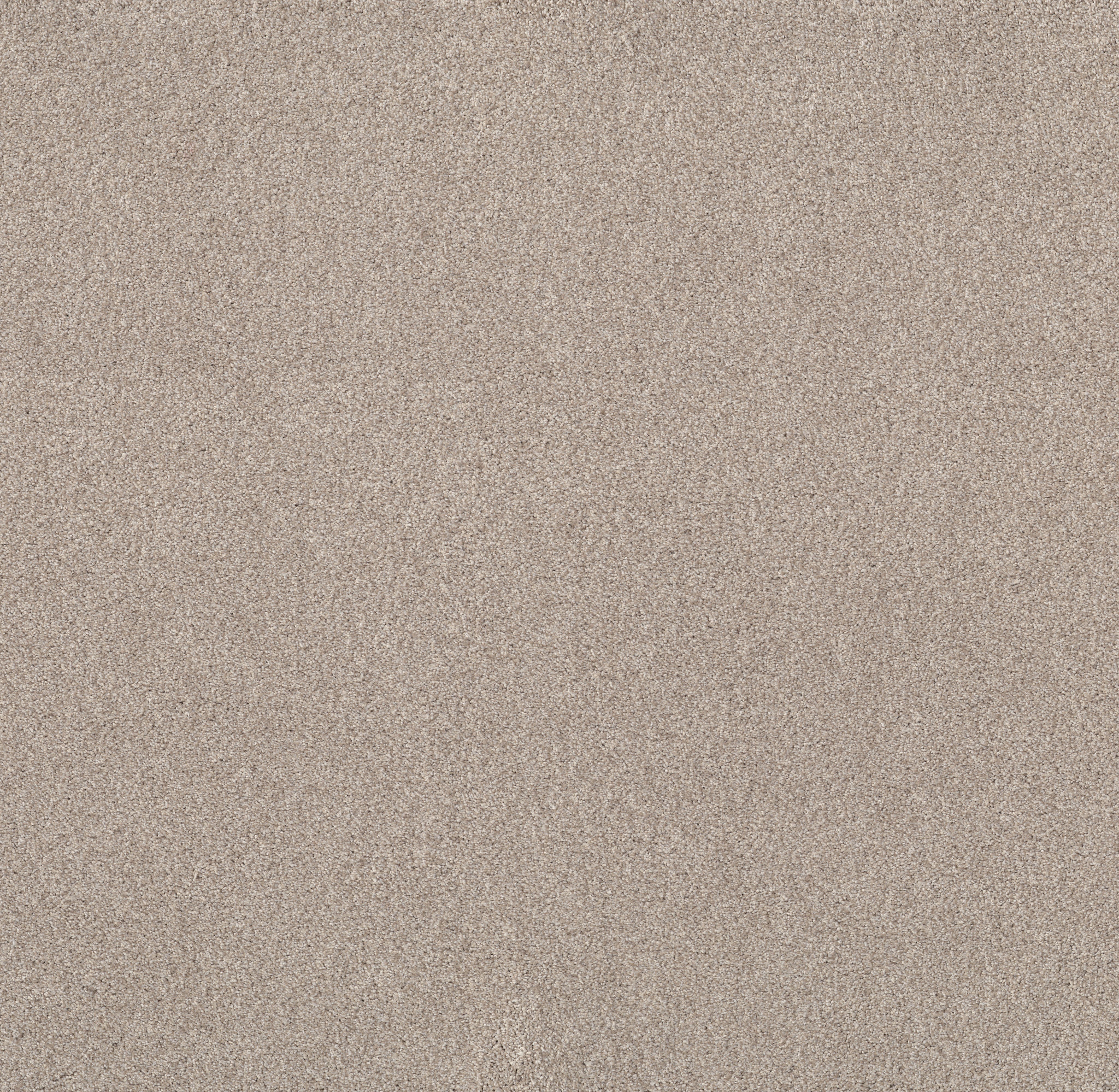 Live on Comfort WARM SAND MAIN