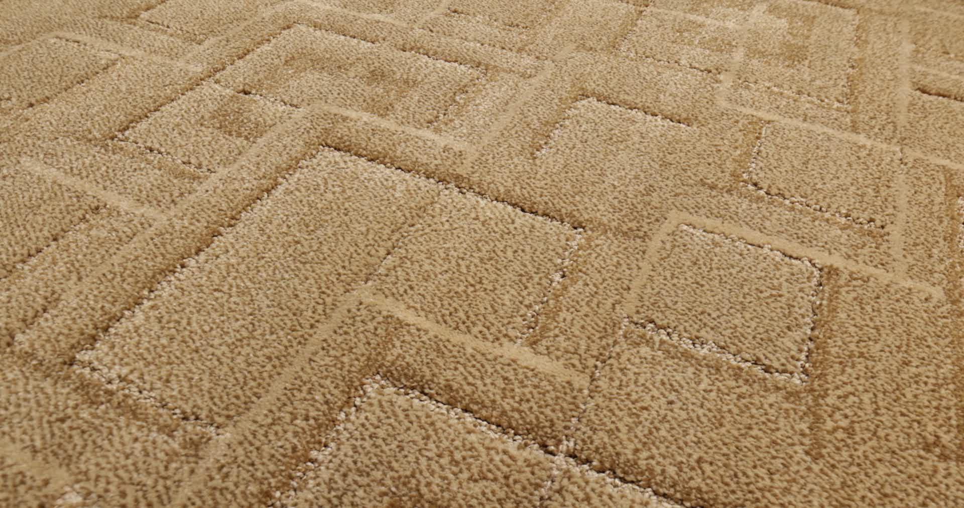 PATH AMBER WAVES 360PROD