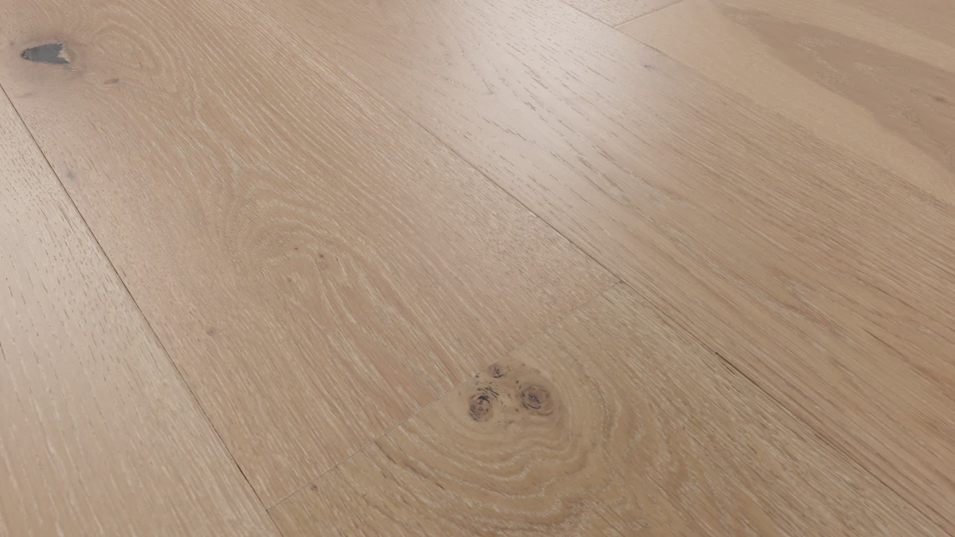 CONFECTION MERINGUE 360PROD