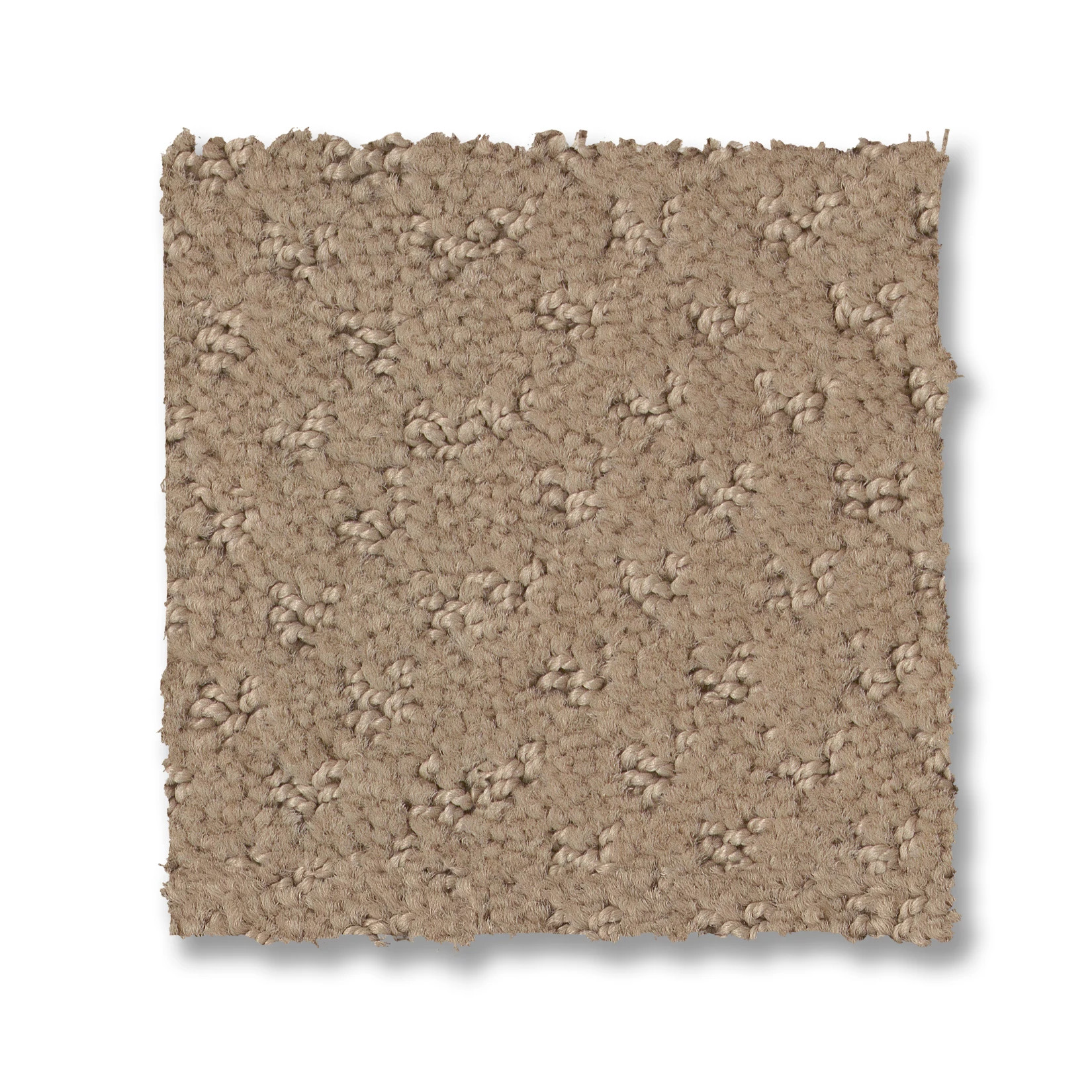 DEL VISTA BEACH GRASS SWATCH