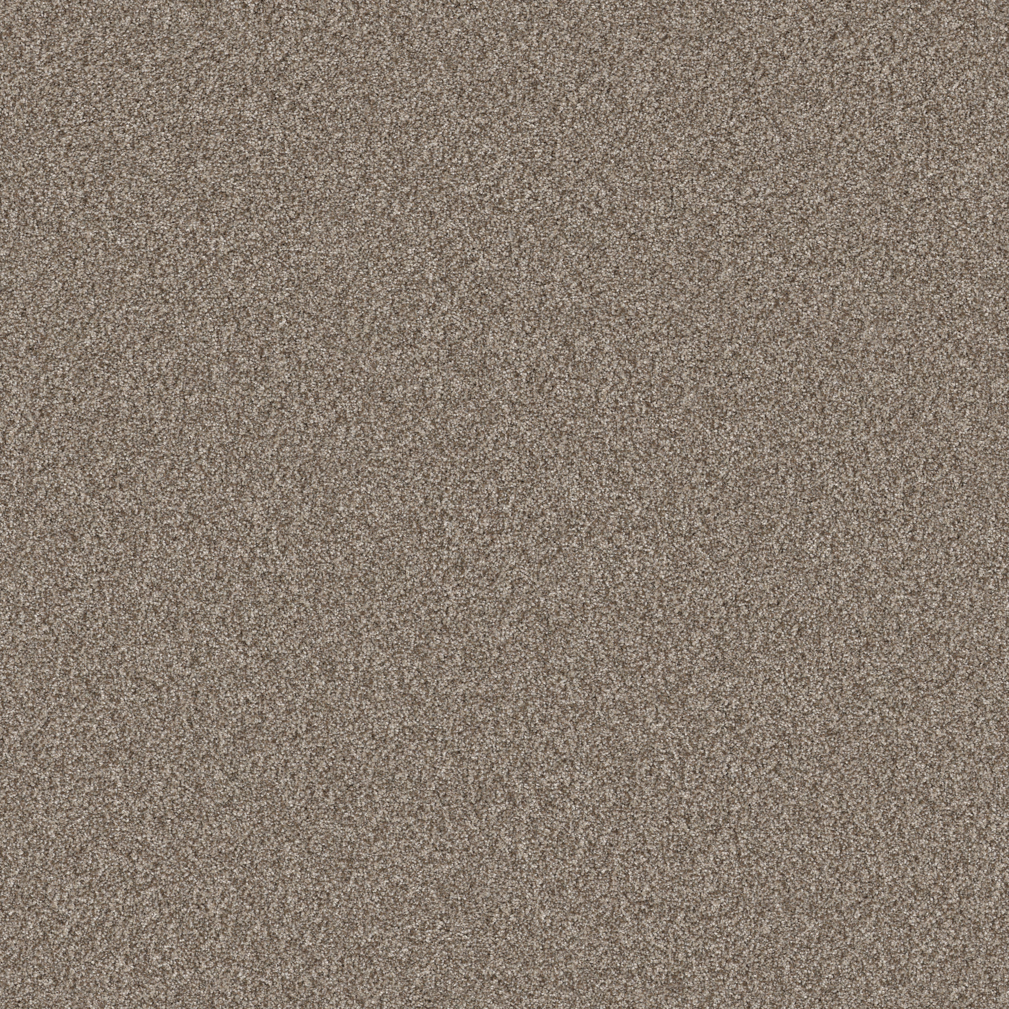 ARTISTIC FUSION I CAMEO MAIN