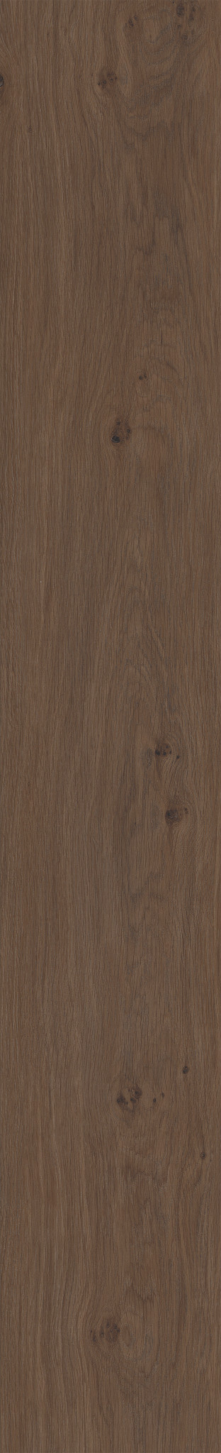 FRESH TAKE TUXEDO BRONZE 1TO1
