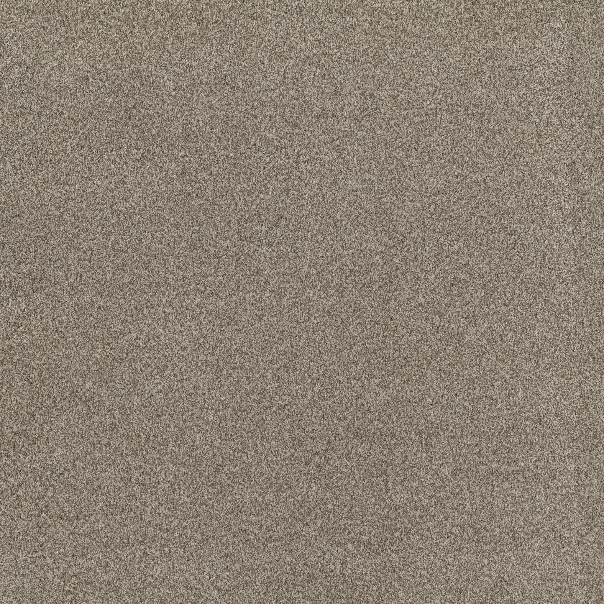 BOSSA NOVA URBAN NATURE MAIN