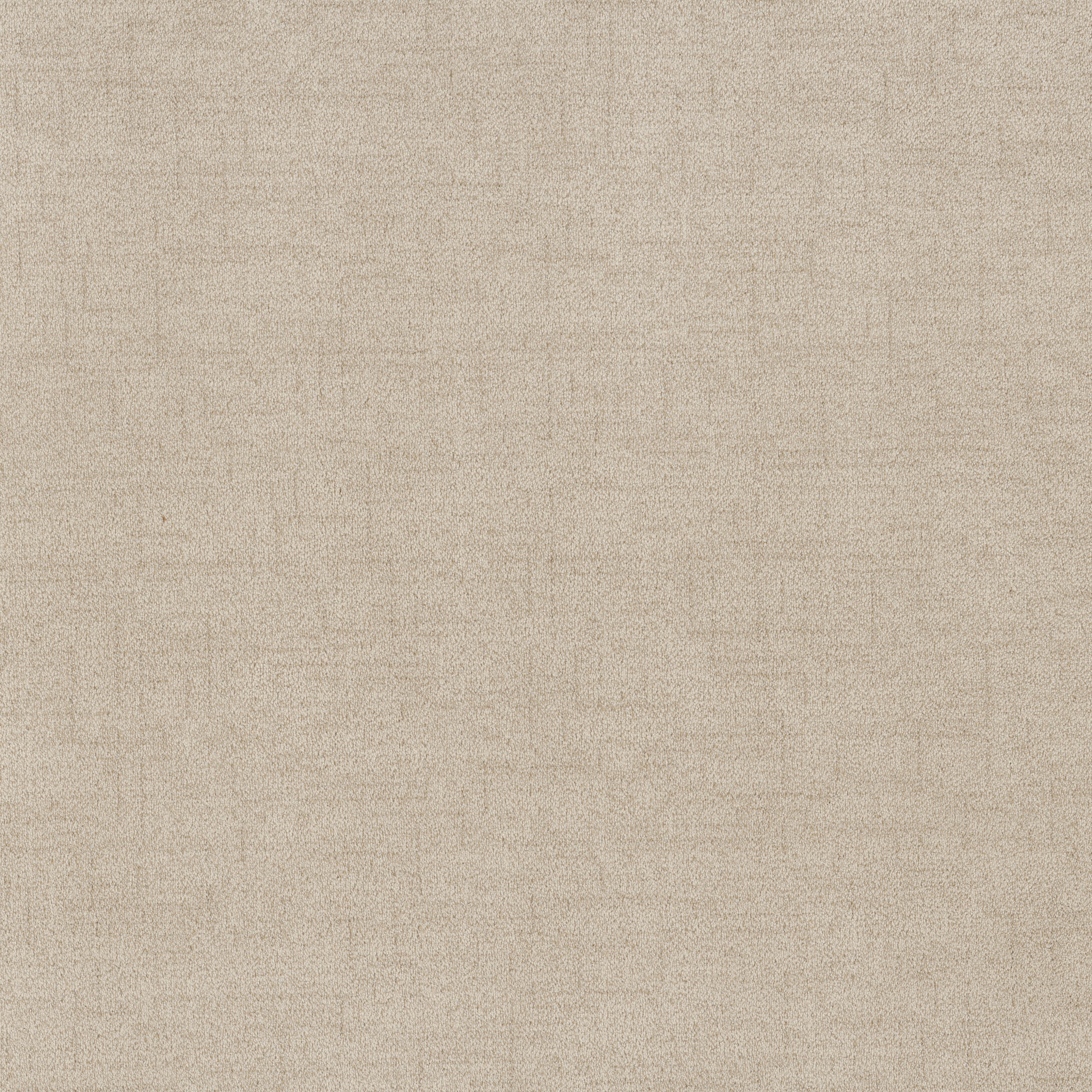 SILHOUETTE PARCHMENT MAIN