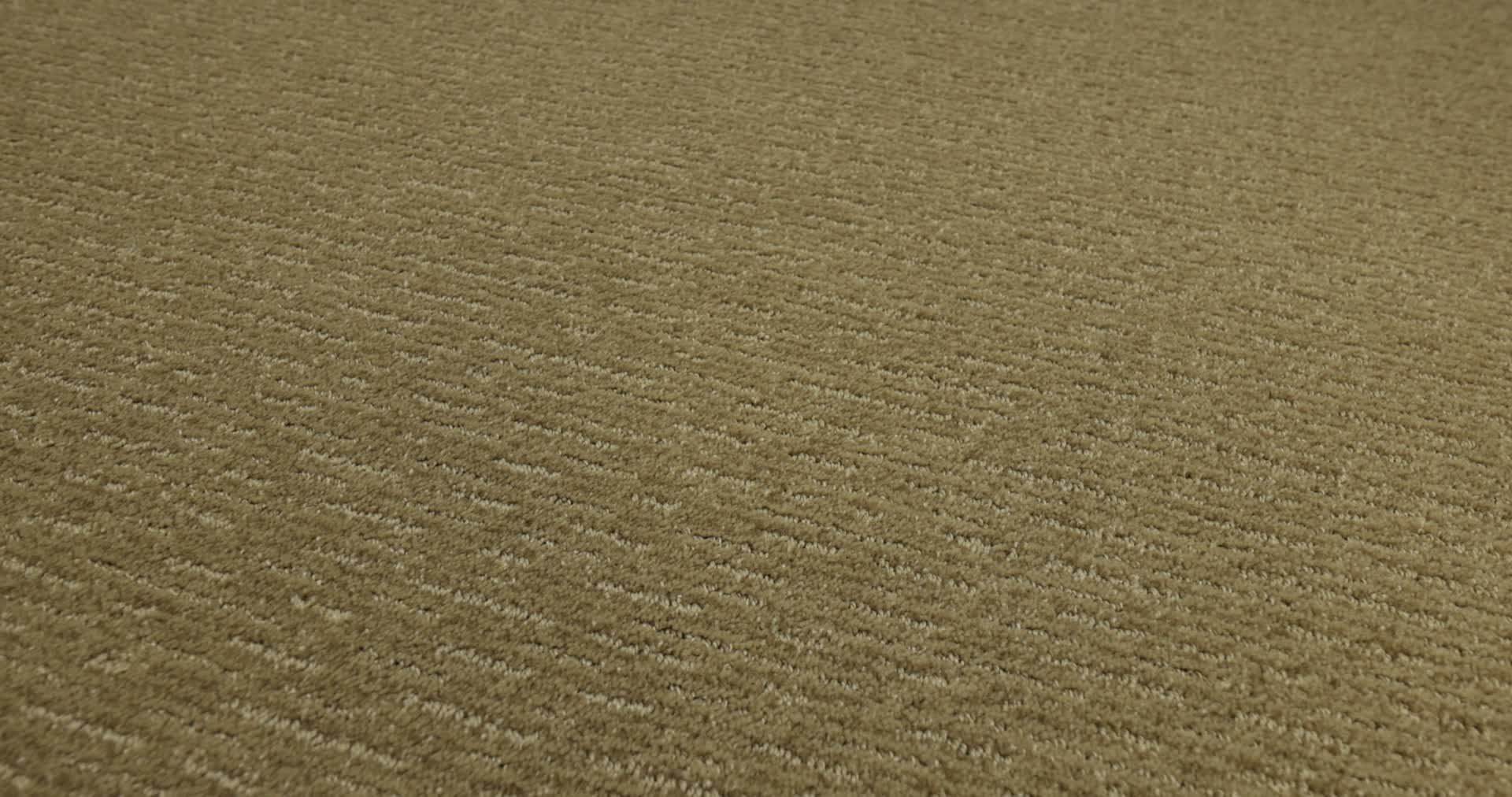 INSIGHTFUL WAY GOLD RUSH 360PROD