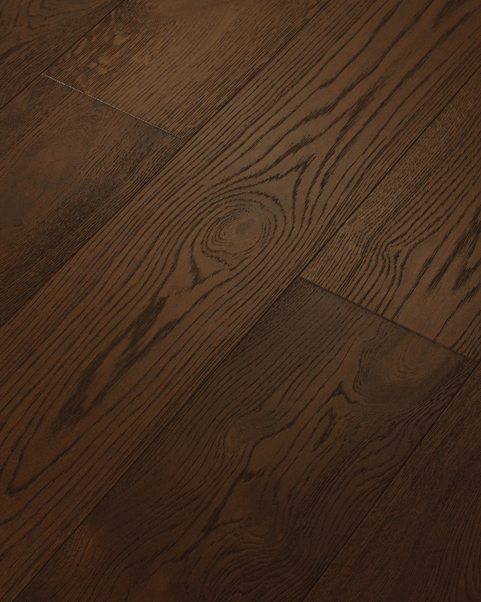 EXPRESSIONS CODA ANGLED