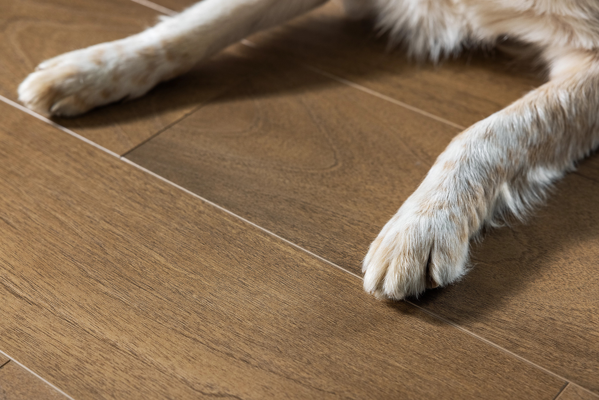 How To Clean Shaw Luxury Vinyl Plank Flooring Floor Roma