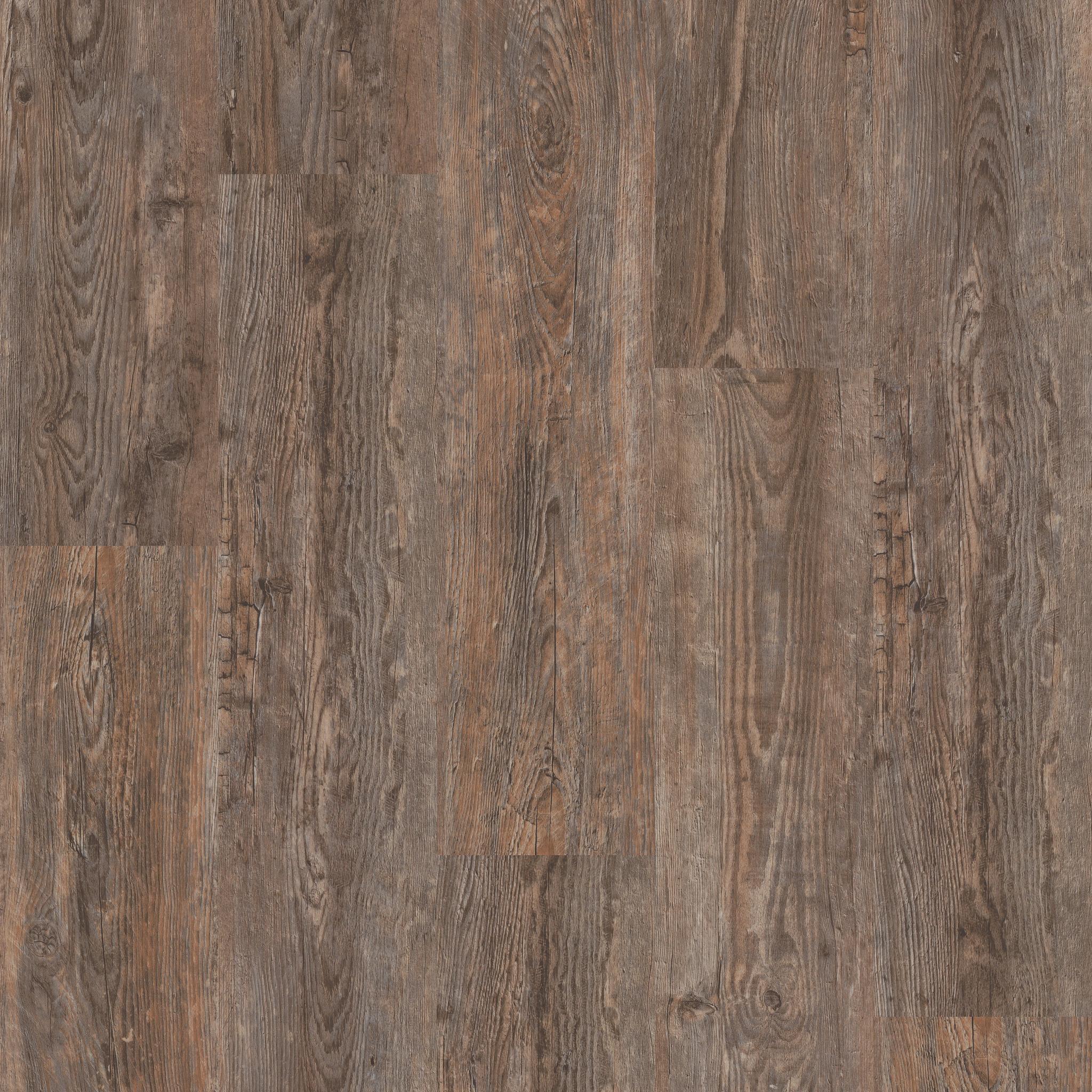 Pathways 6 in Firewood