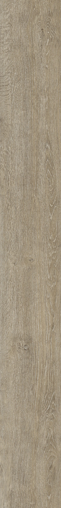 WATERTON LAKES OAK 04 1TO1