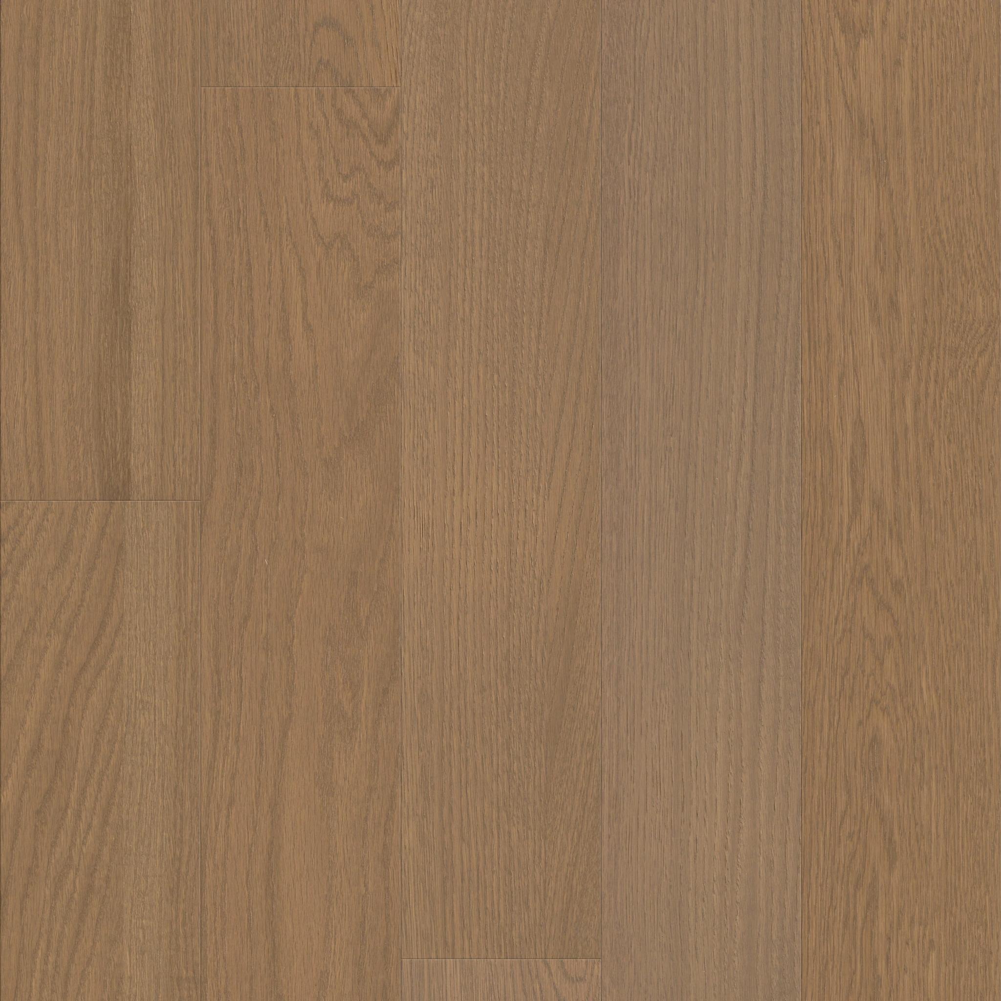 Liberty Oak in Legacy
