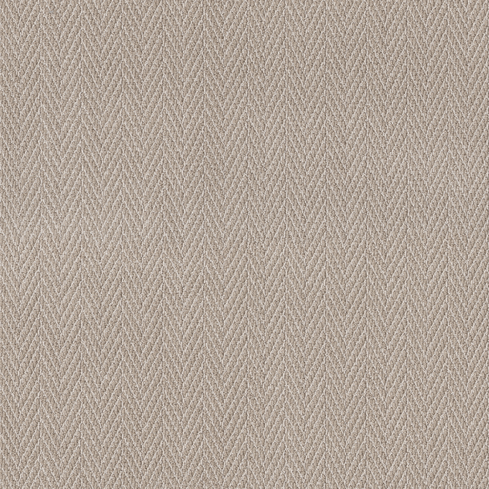 zz289_00173_main