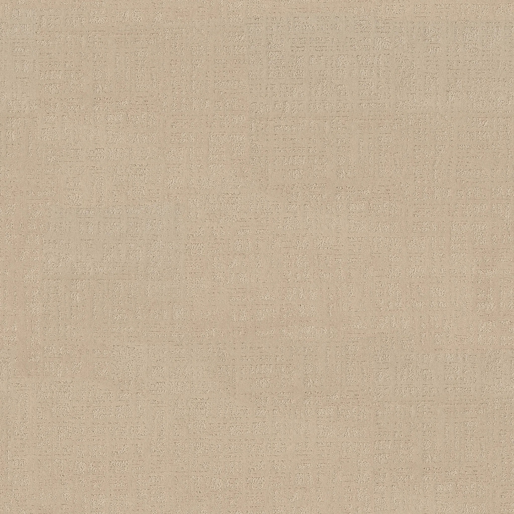 Beige textured carpet swatch showcasing a soft and durable surface ideal for everyday home comfort
